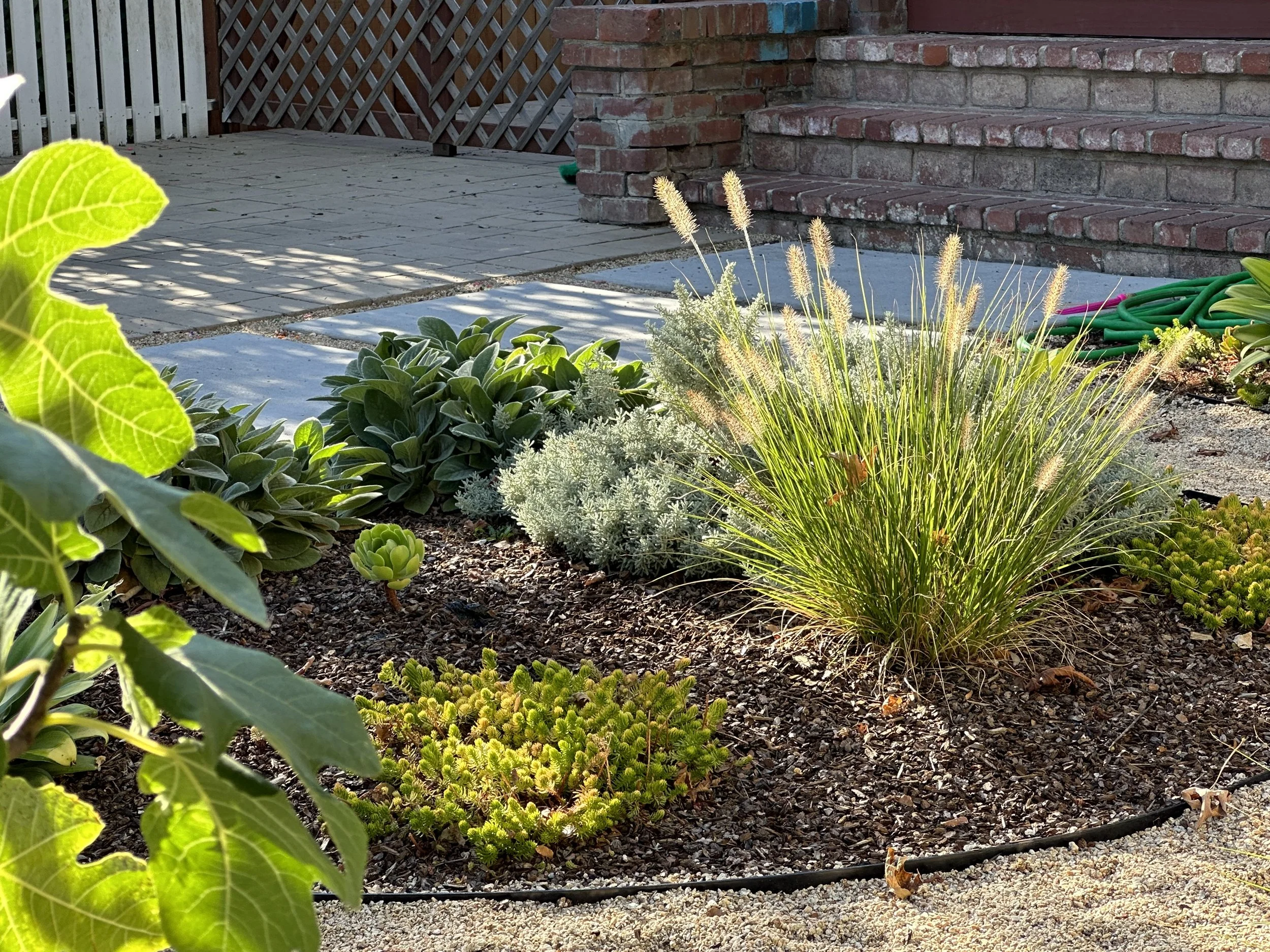 landscape-curb-appeal-plants.JPG