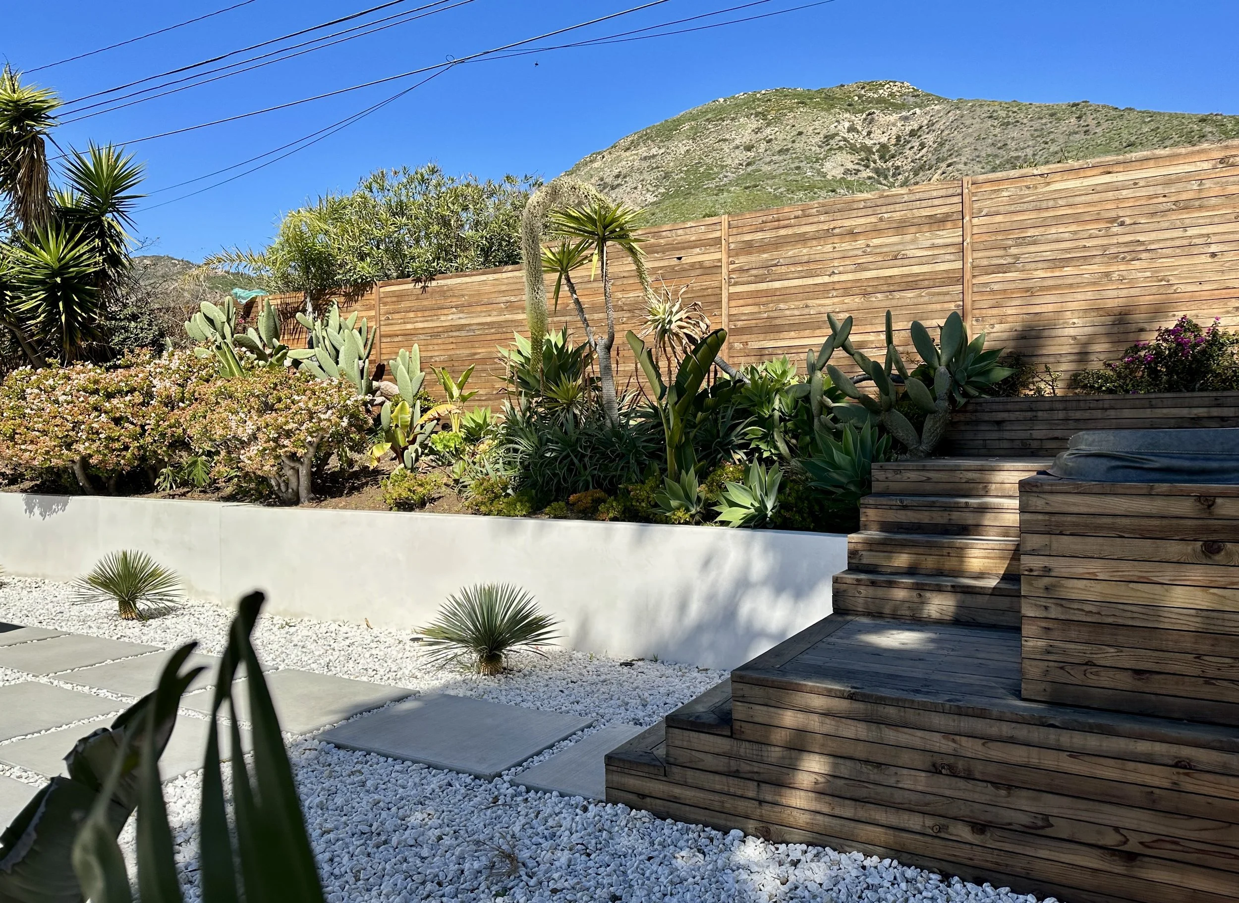 Horizontal redwood privacy fence, modern retaining wall, drought-tolerant succulents, and contemporary landscape design in a Malibu, California backyard.