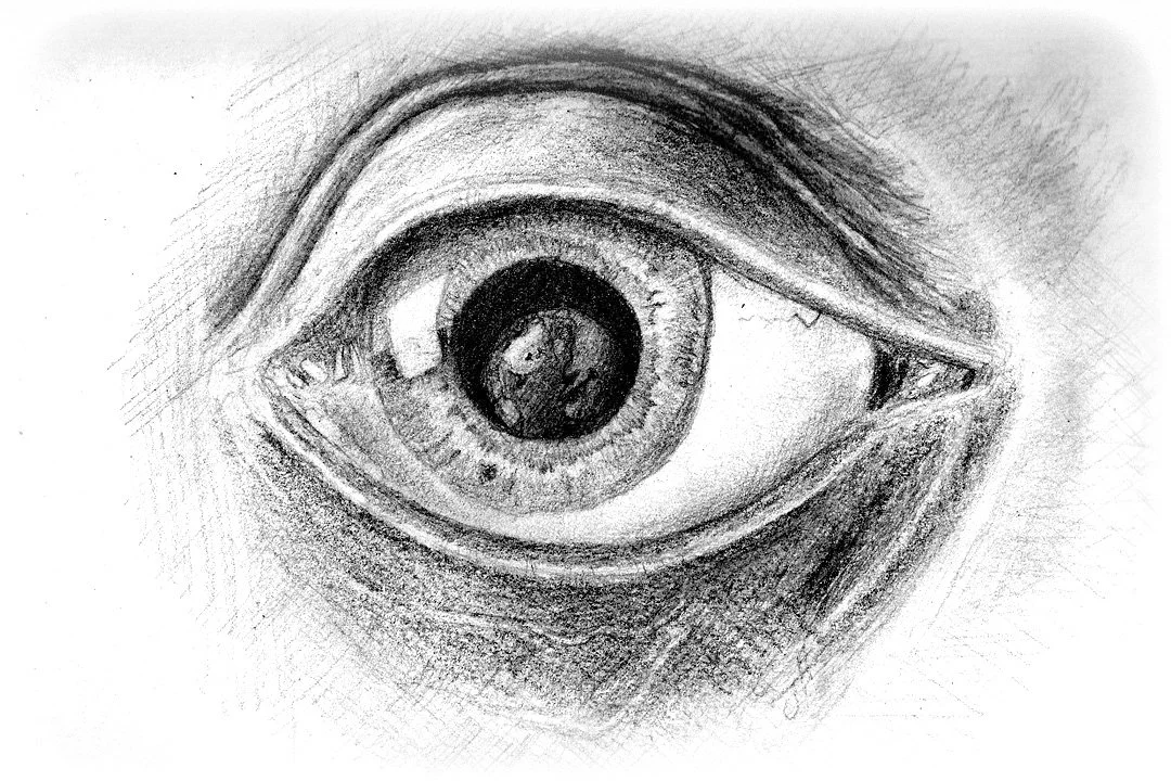 eyesketch.jpg