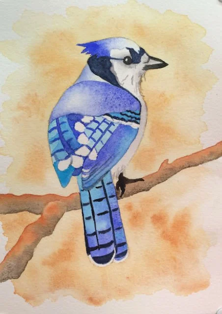 Blue Jay   SOLD
