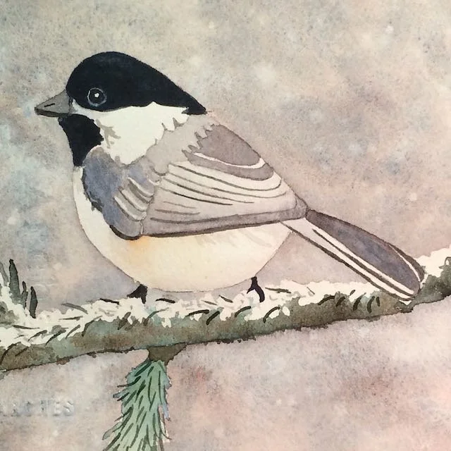 Chickadee  
Private Collection