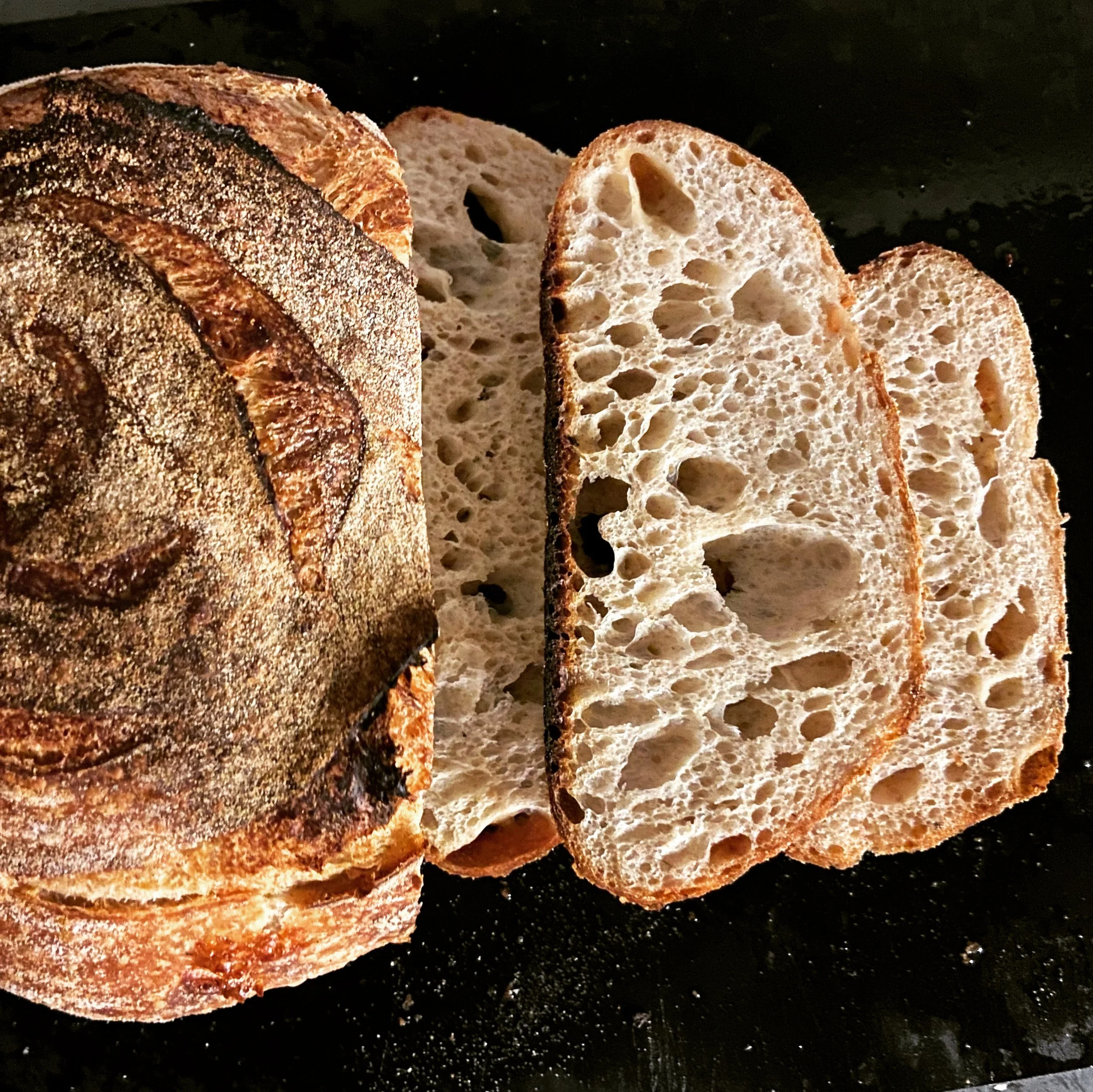 The O.G. Sourdough