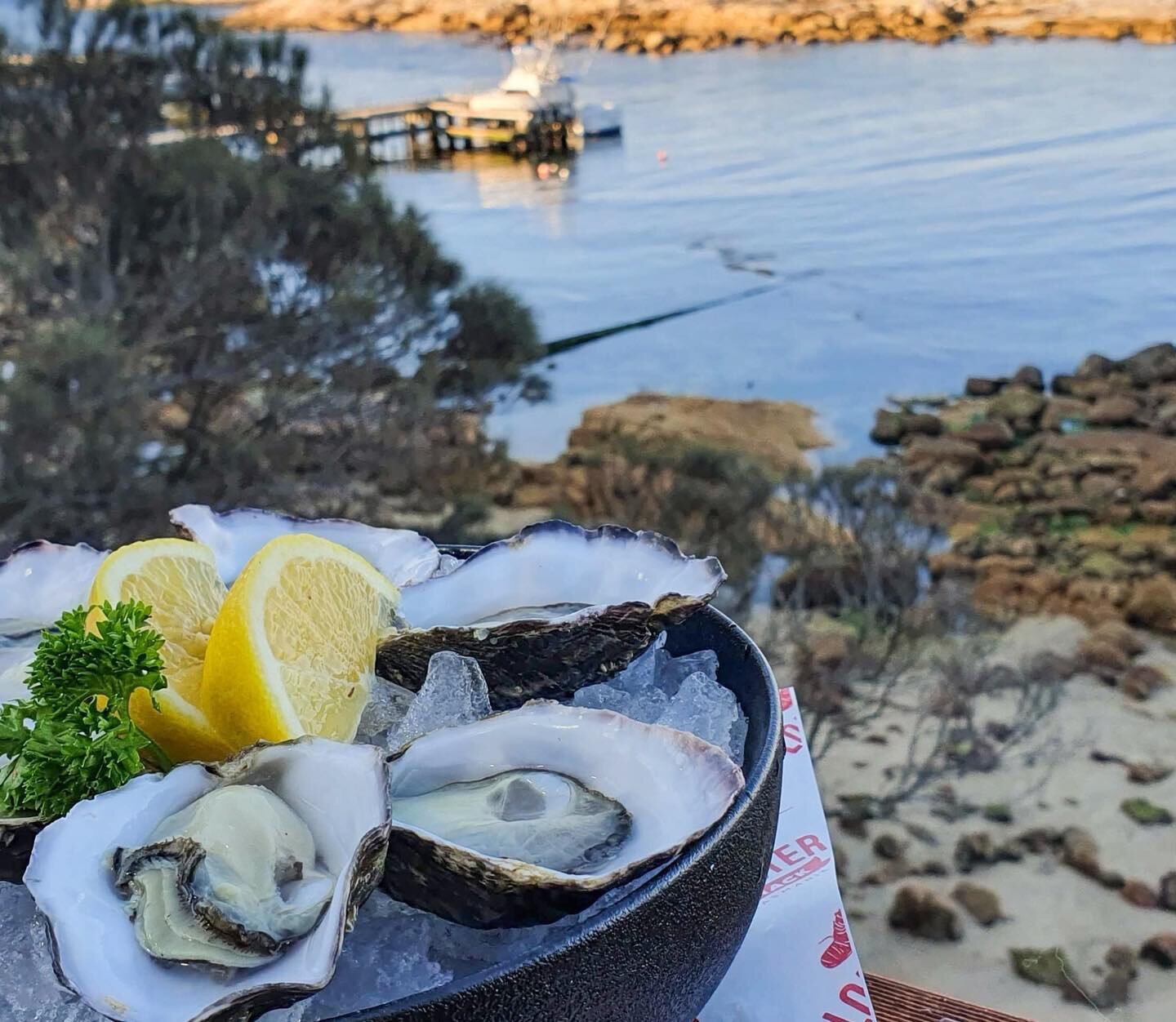 The world is your oyster! come and celebrate World Oyster Day with us Friday 5th of Aug. Winter is an amazing time for these magnificent pacific oysters grown in Tasmania fresh, smooth, natural with a dash of lemon washed down with a magnificent cris