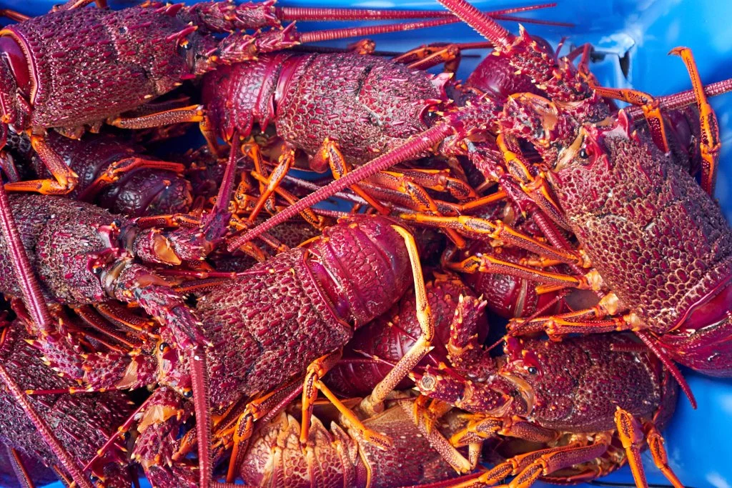 Our Story — The Lobster Shack