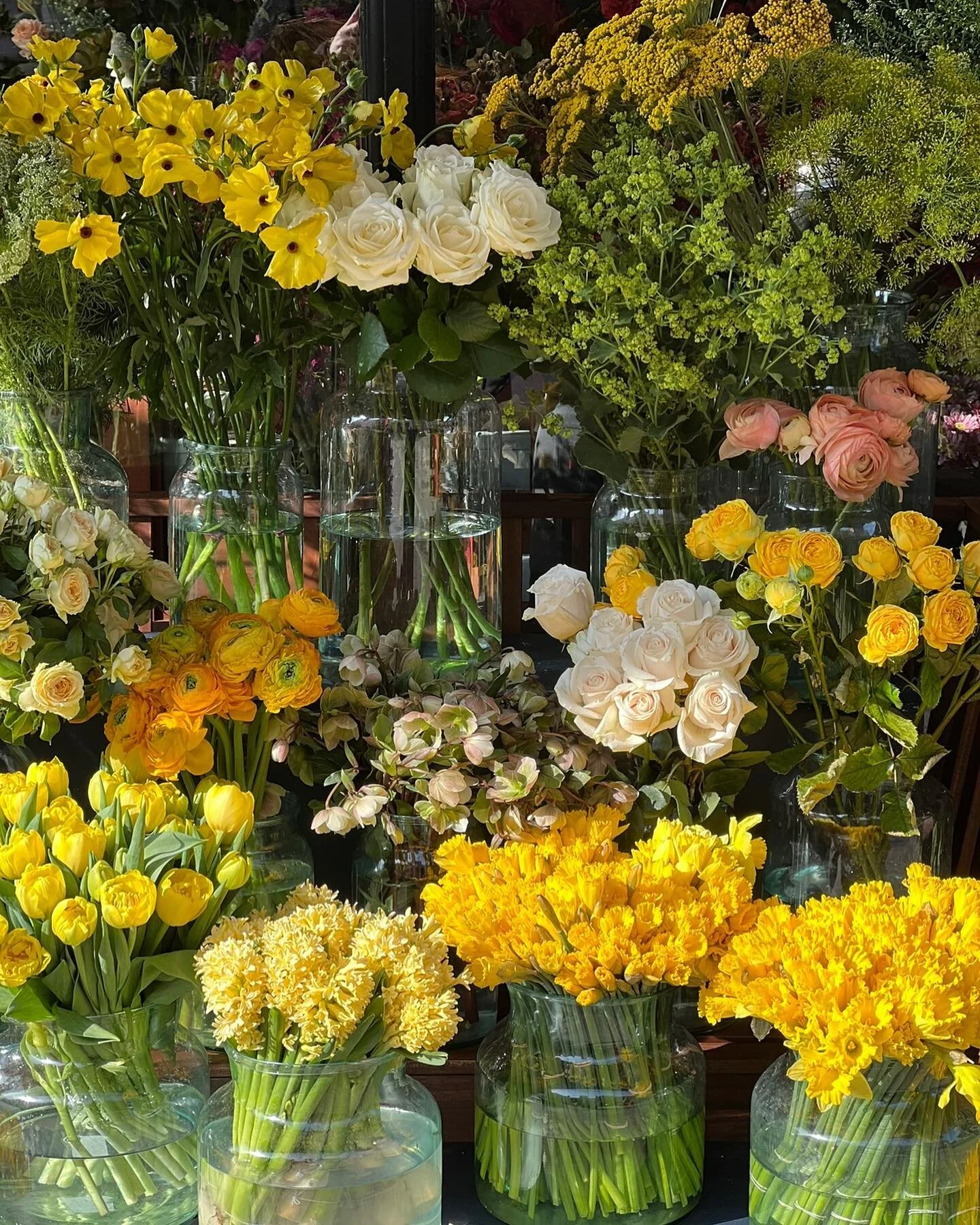 LETTING GO&hellip; TO SPRING FORTH

Spring reminds us of new beginnings.
However, there is more to the story&hellip;
Spring, she had to be willing to let go of Winter.

As I walk around my new village, I am left thinking of all that I left behind to 