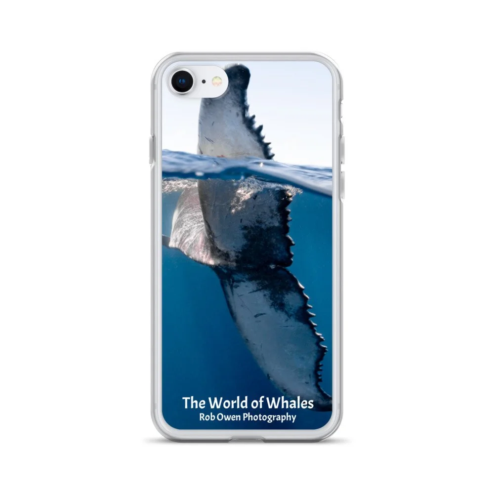 iphone-case-iphone-7-8-case-on-phone-627ed1dee3cee.jpg