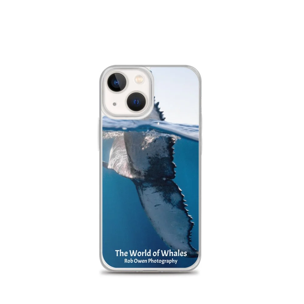 iphone-case-iphone-13-mini-case-on-phone-627ed1dee3e5e.jpg