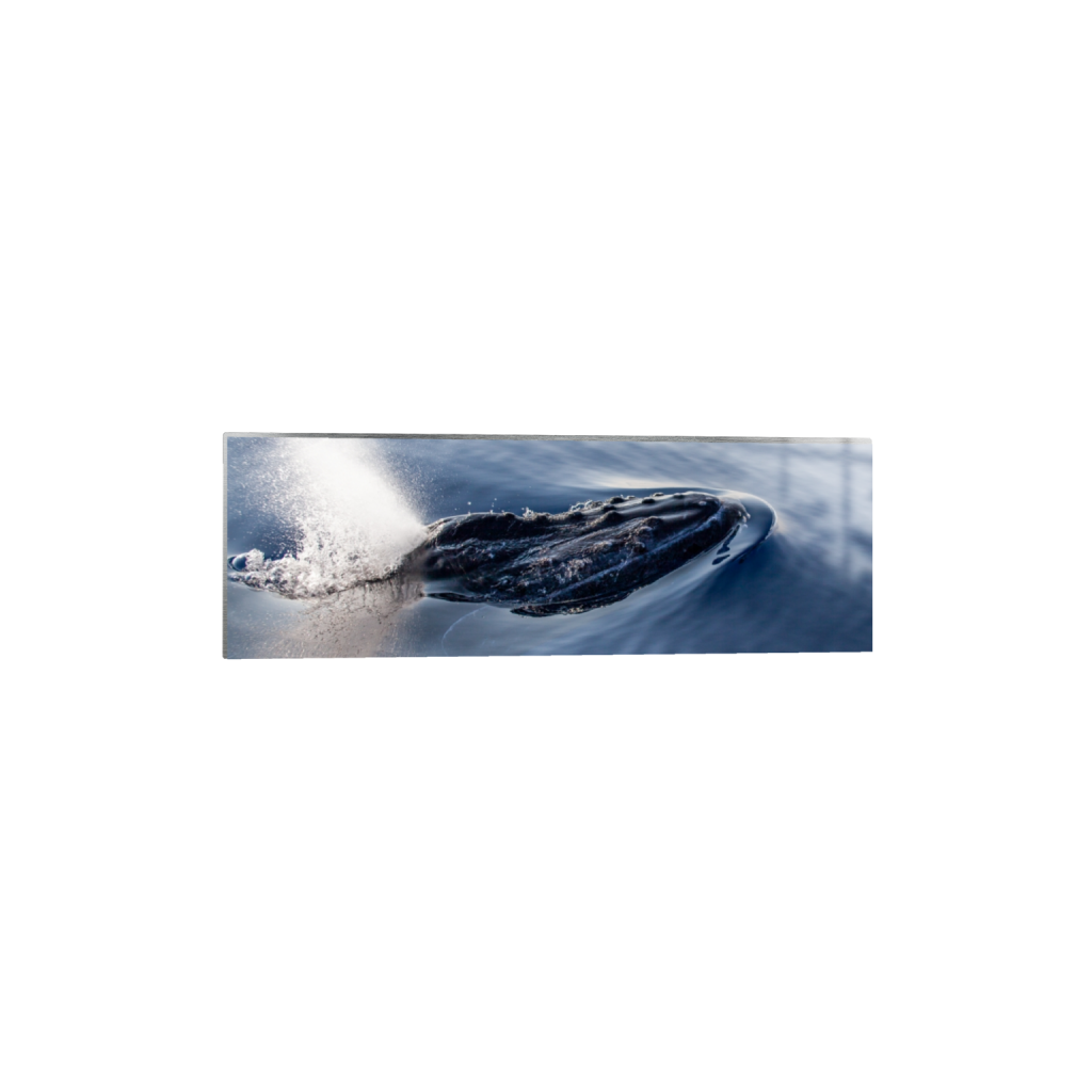 ptq_13_2_0_827_4279_1426_0_false_ffffff_0_0_.png