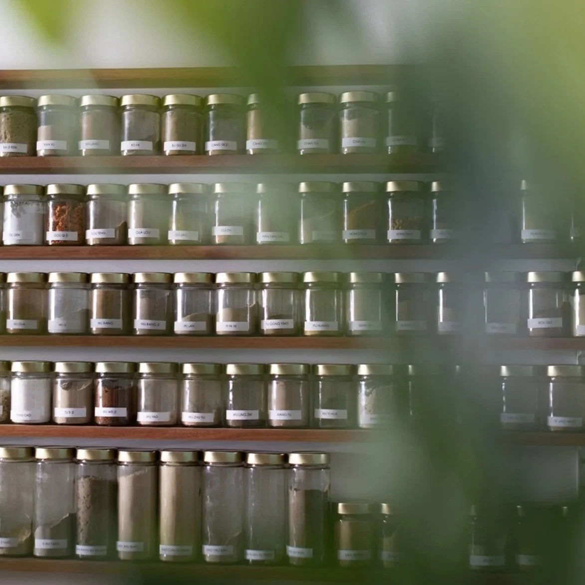 TONIC Herbal Dispensary