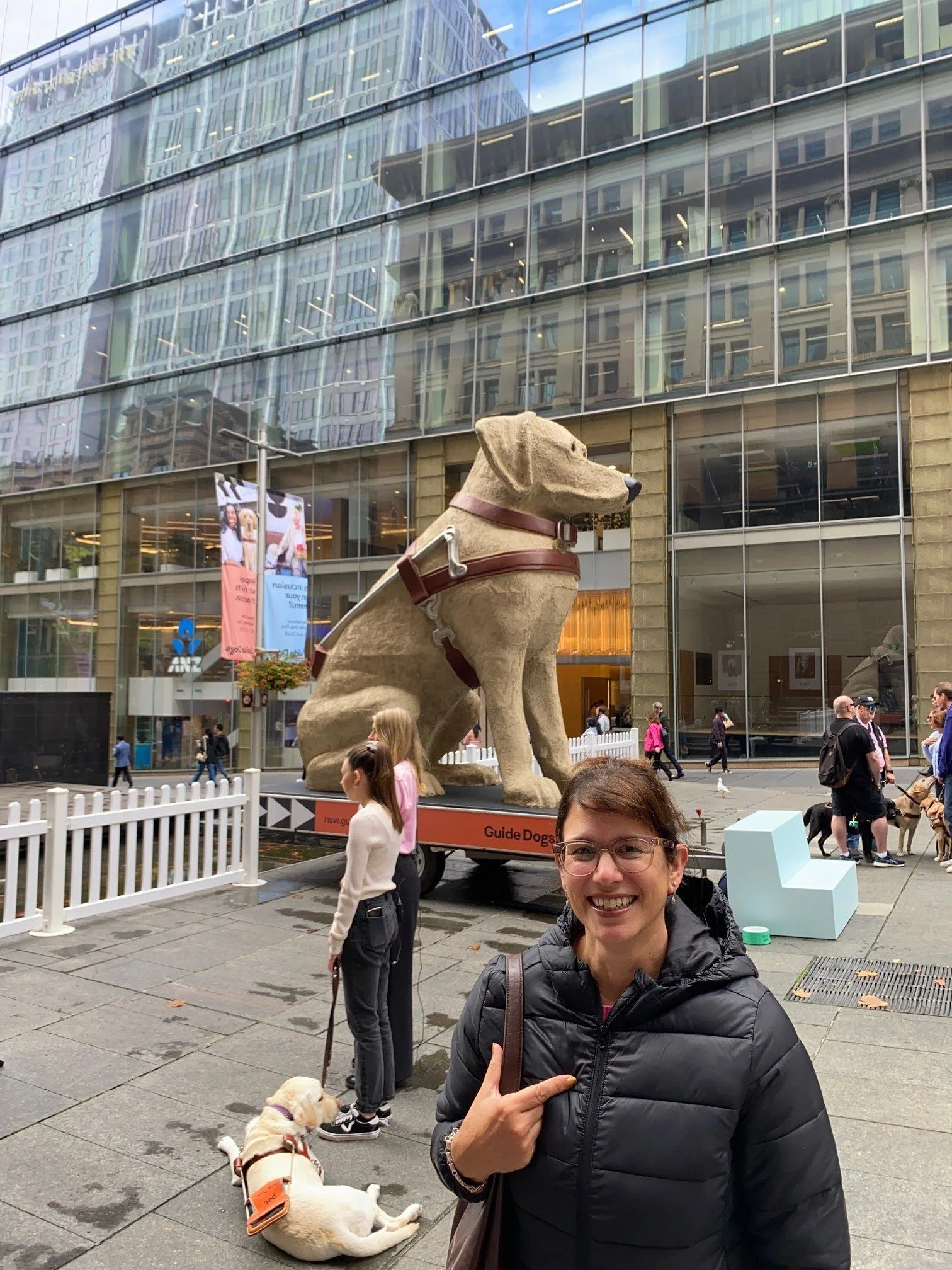 martin pl guide dogs 1.jpg