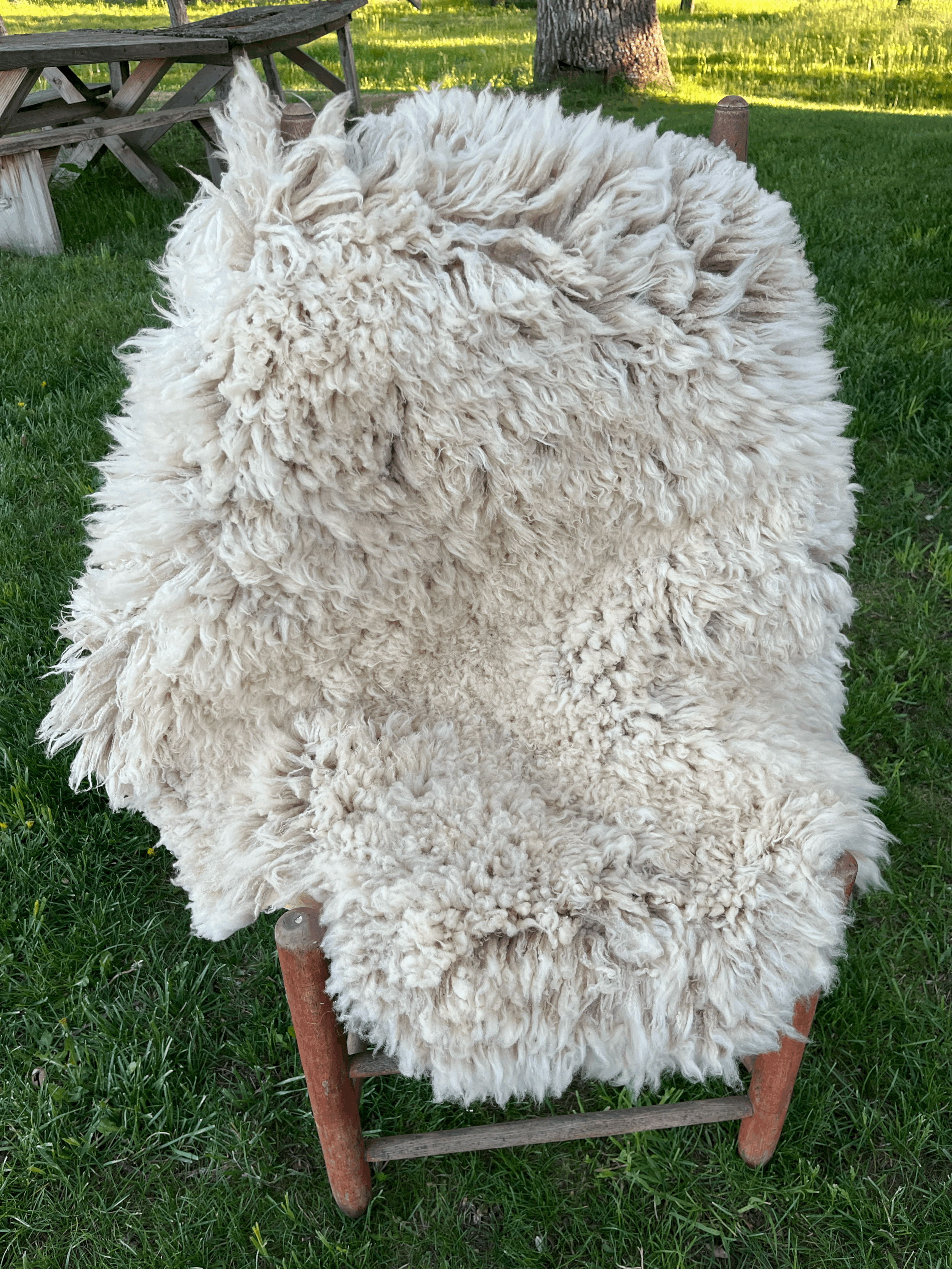 tempImageeMe99e.gif