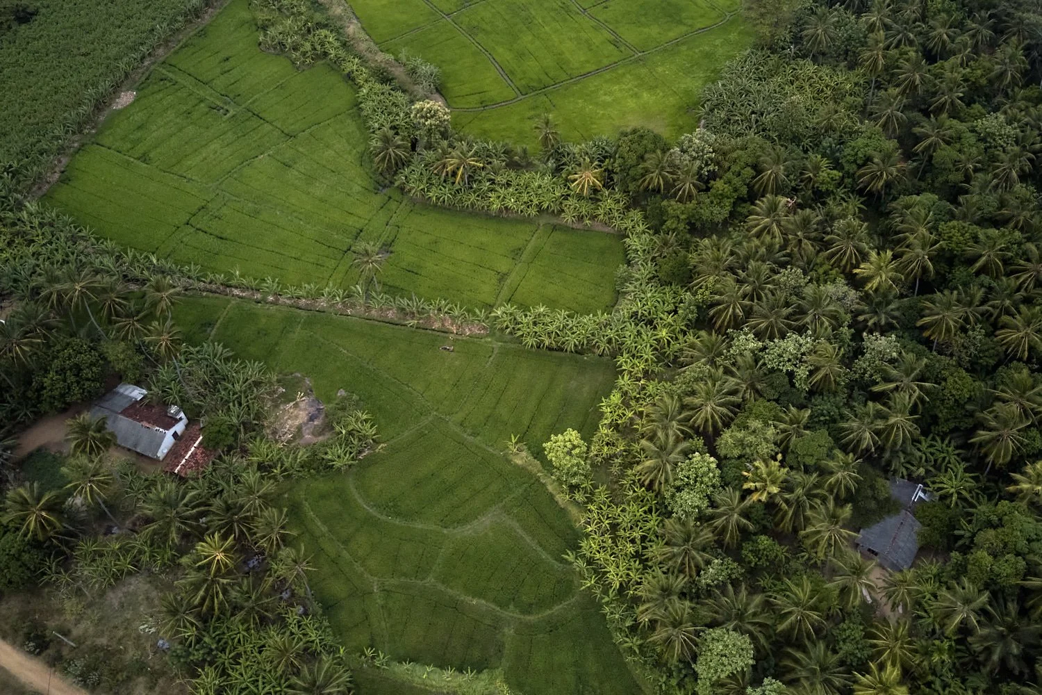 Sri Lanka-June-2023-DJI_0028.jpg