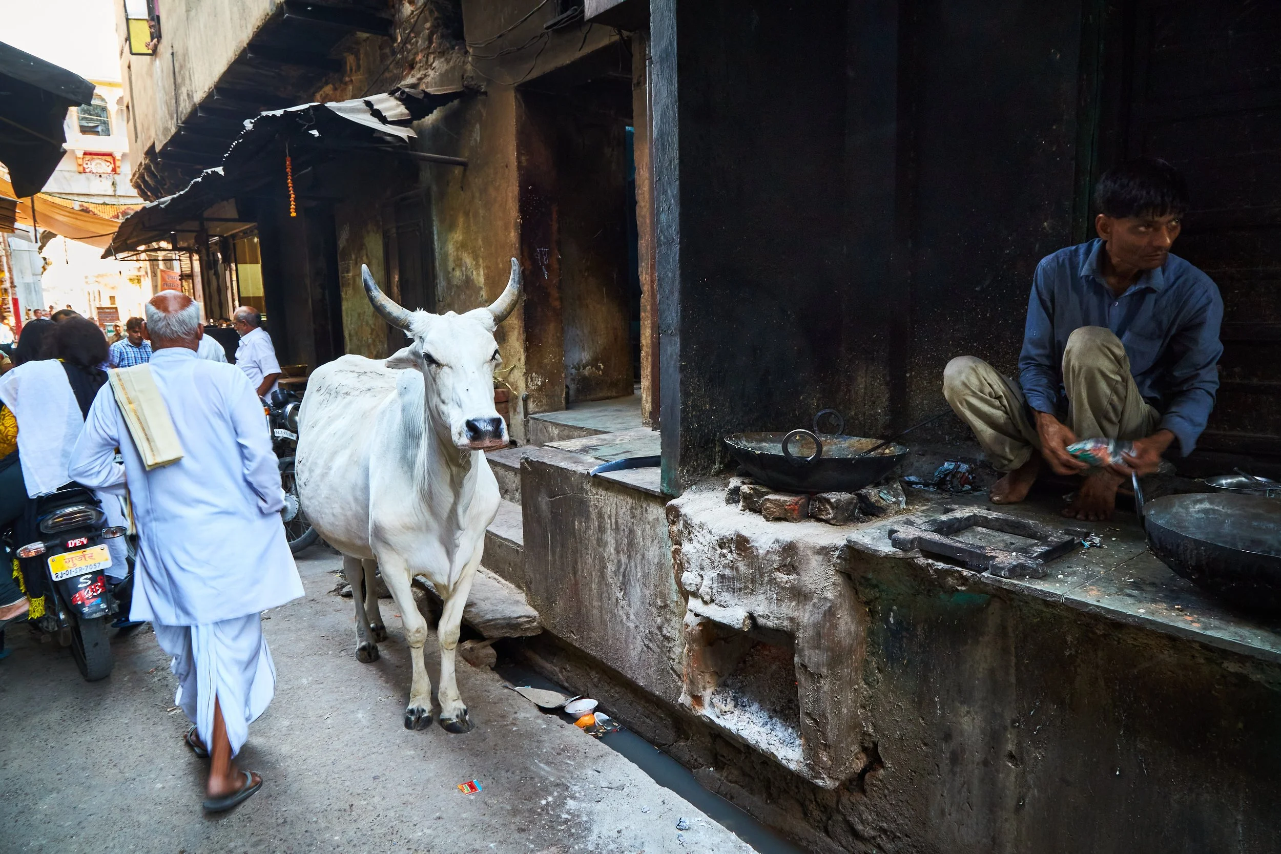 Rajasthan-kingdom-Bhagi-Siva-_MG_7736.jpg