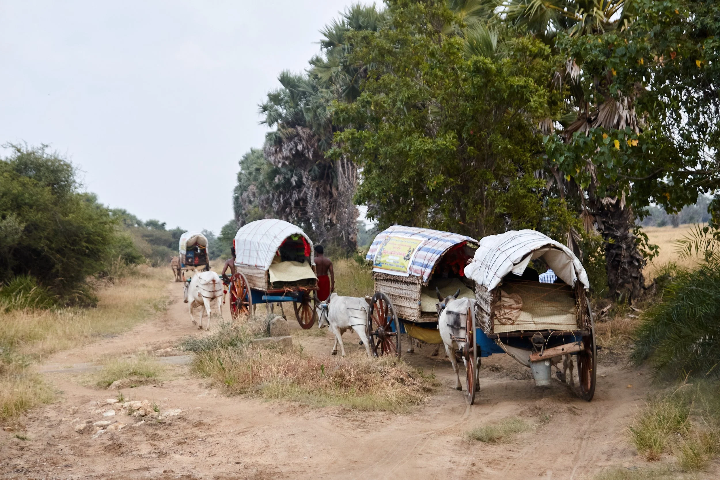 Meanwhile, the temple party is traveling through rough terrain, dried-up rivers, and uninhabited lands, which were once the prime war zones during the decades-long civil war in the region. After a day-long journey, the carts will reach the temple rou