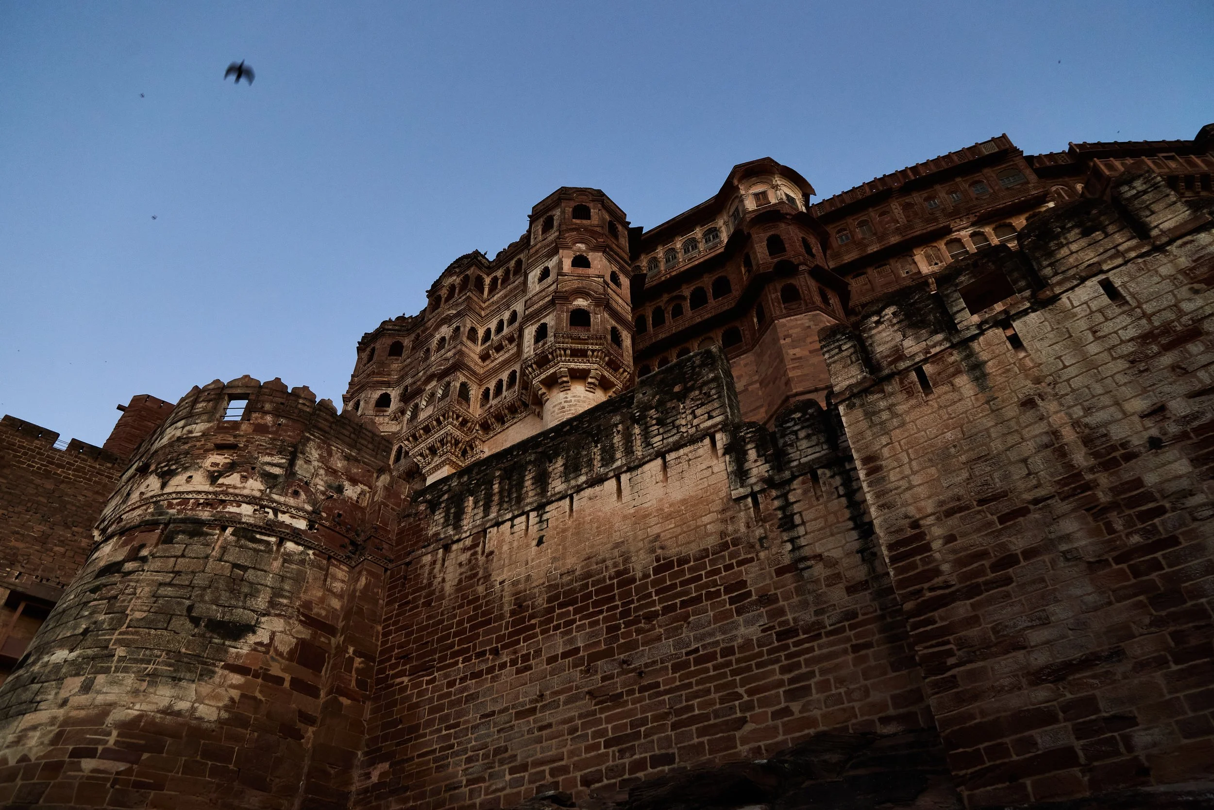 Rajasthan-kingdom-Bhagi-Siva-_MG_7253.jpg