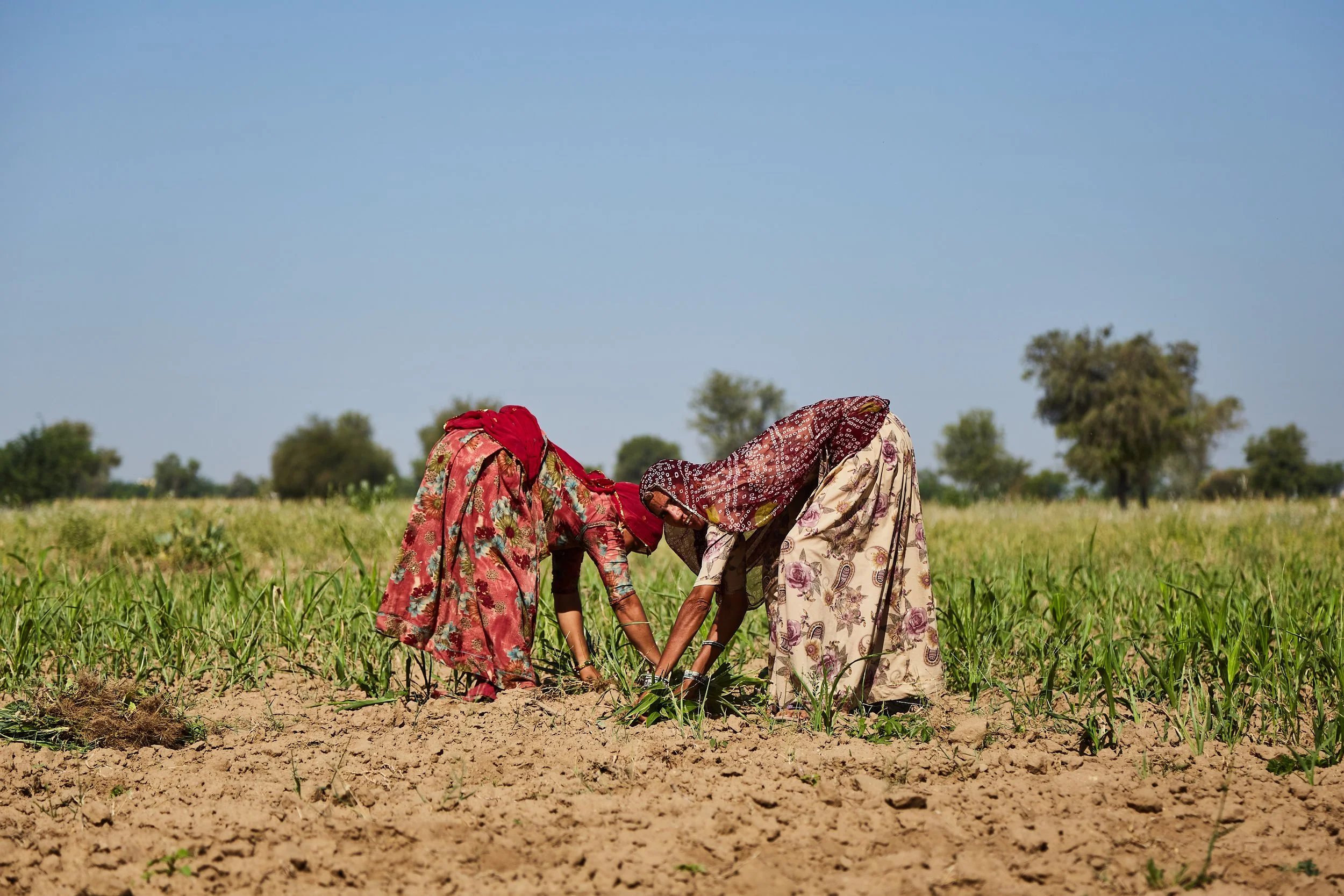 Rajasthan-kingdom-Bhagi-Siva-_MG_7611.jpg