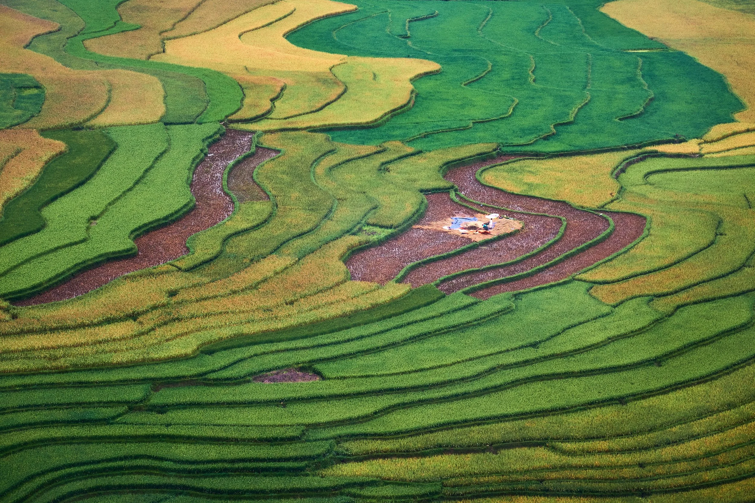 Mu Cang Chai-Bhagi-Siva-DSCF8911.jpg
