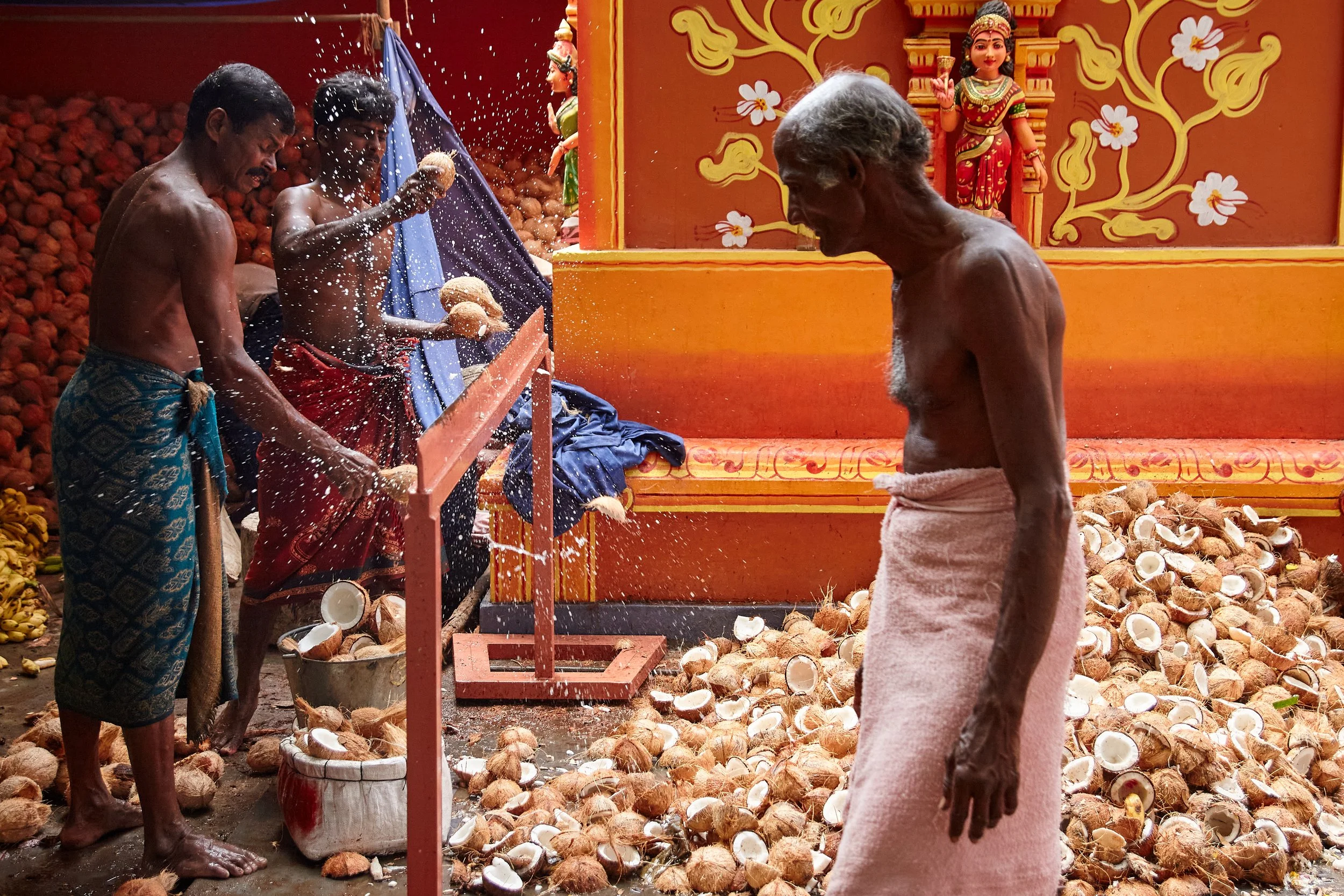 Thousands of coconuts offered to the god were split in half at the back of the temple. These will then be provided back to the devotees, while some end up as coconut chips to the kids hanging around here.