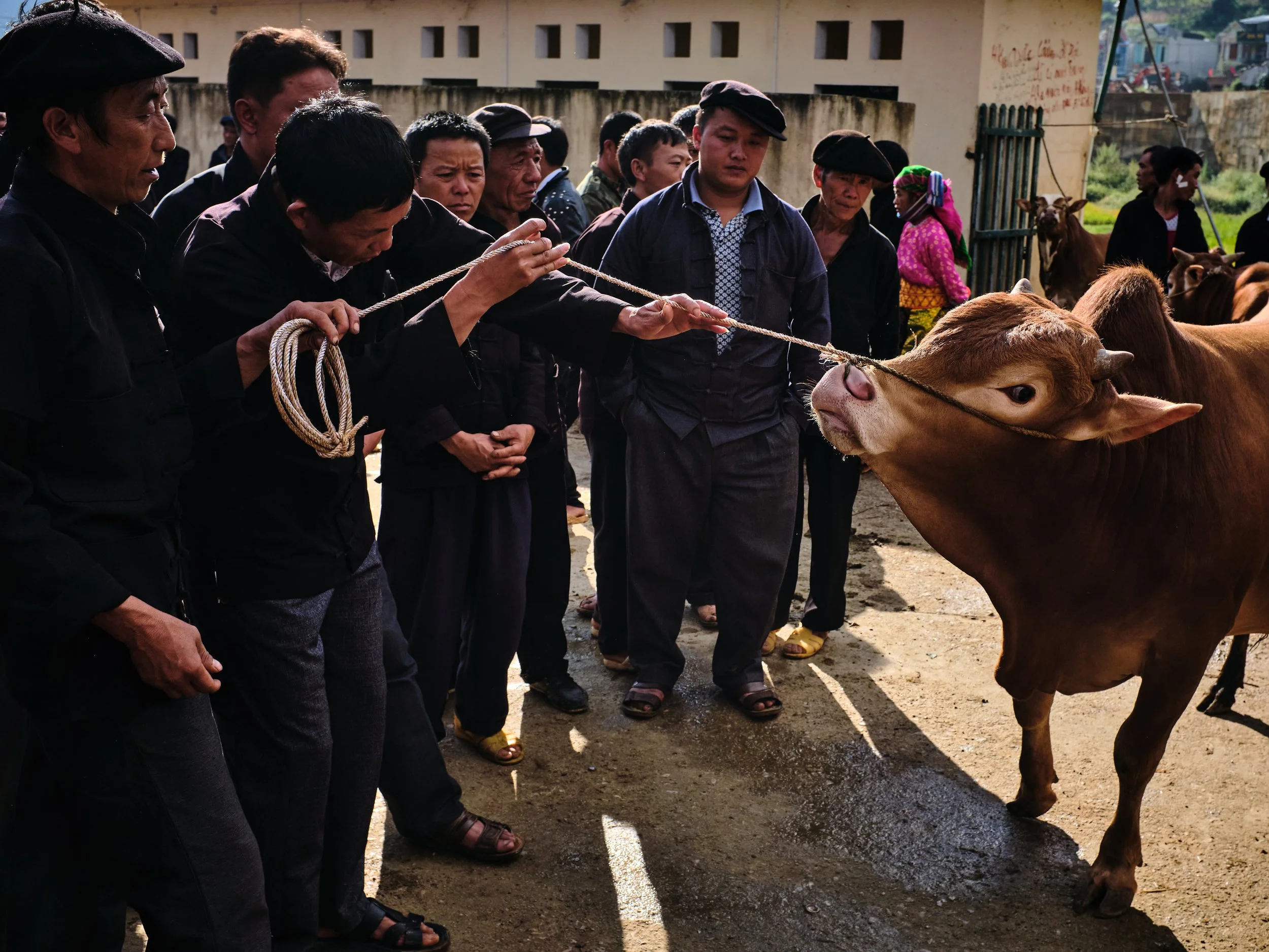 Dong Van-Market-Bhagi-Siva-_DSF9253.jpg