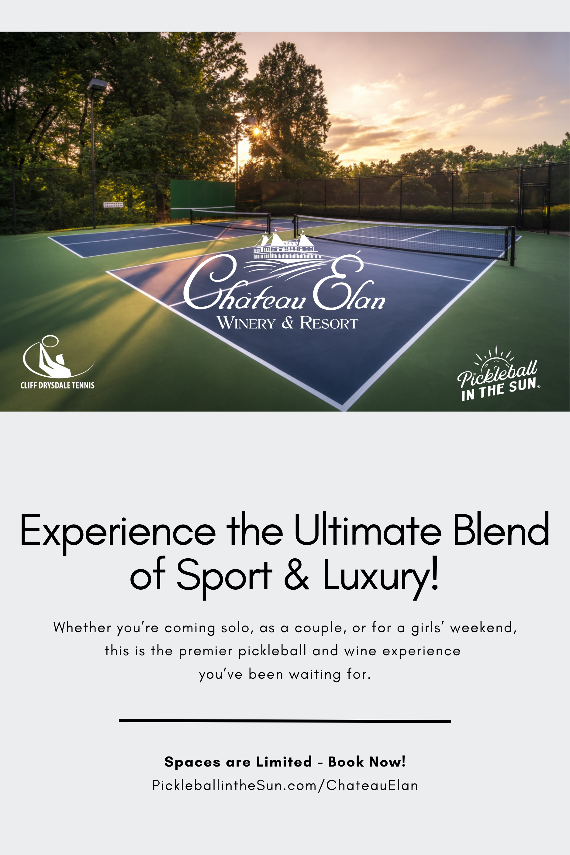 pickleball in the sun andrei daescu 06-2.png