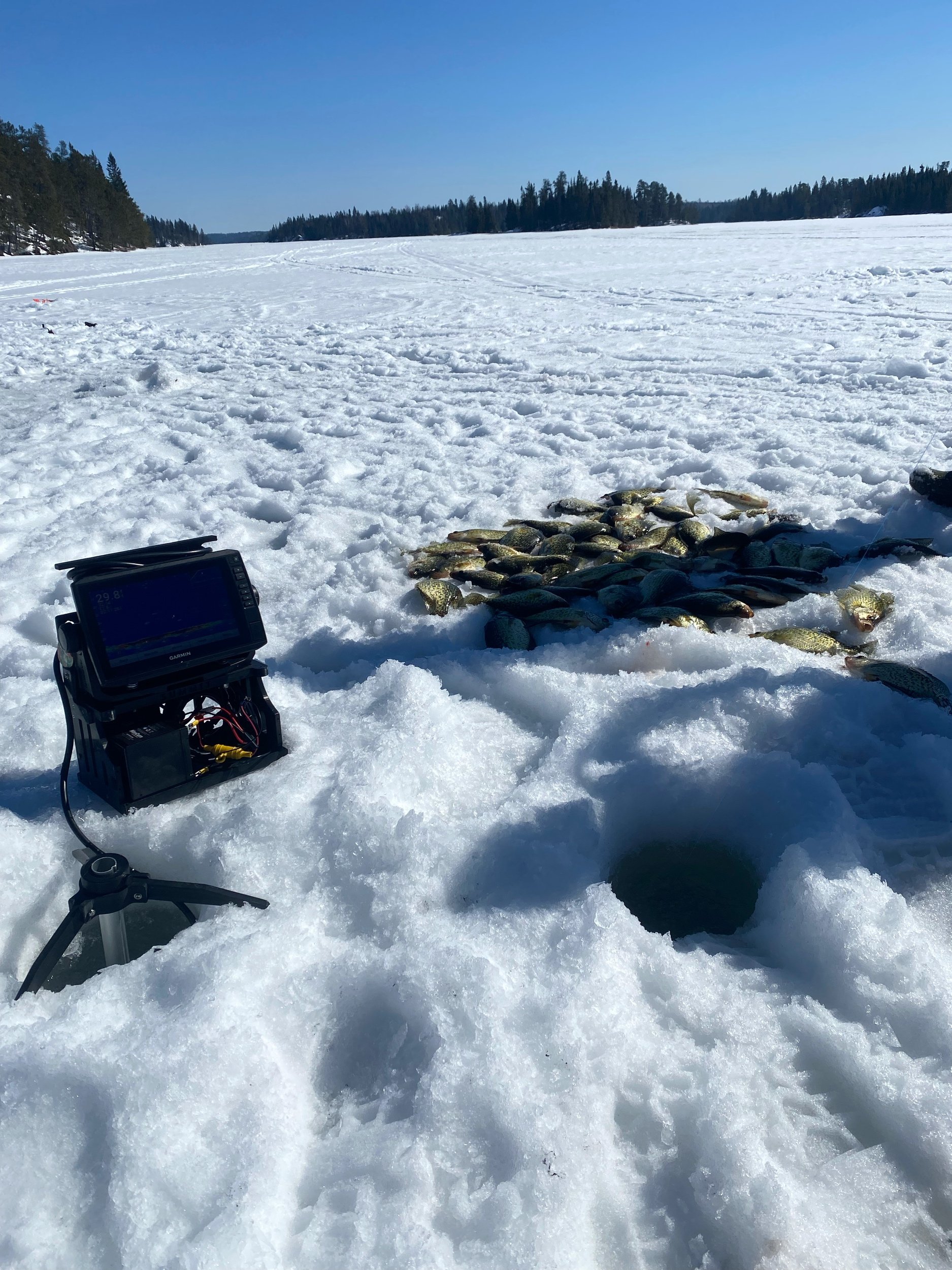 Ice Fishing — Spines And Tines Guiding