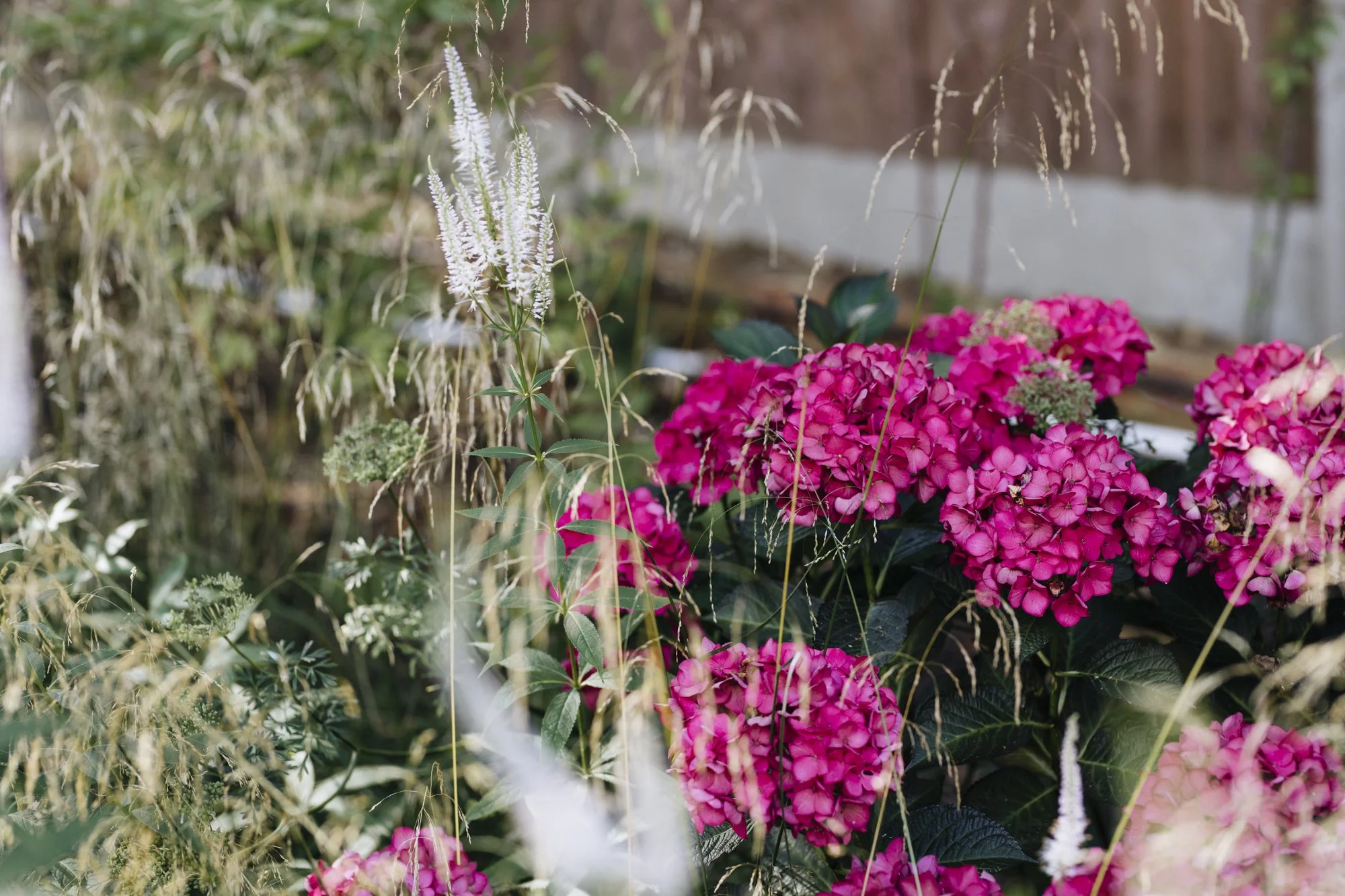 award_winning_garden_designer_luxury_gardens_Chelsea_gardens_South_kensington_gardens_naturlaistic-planting