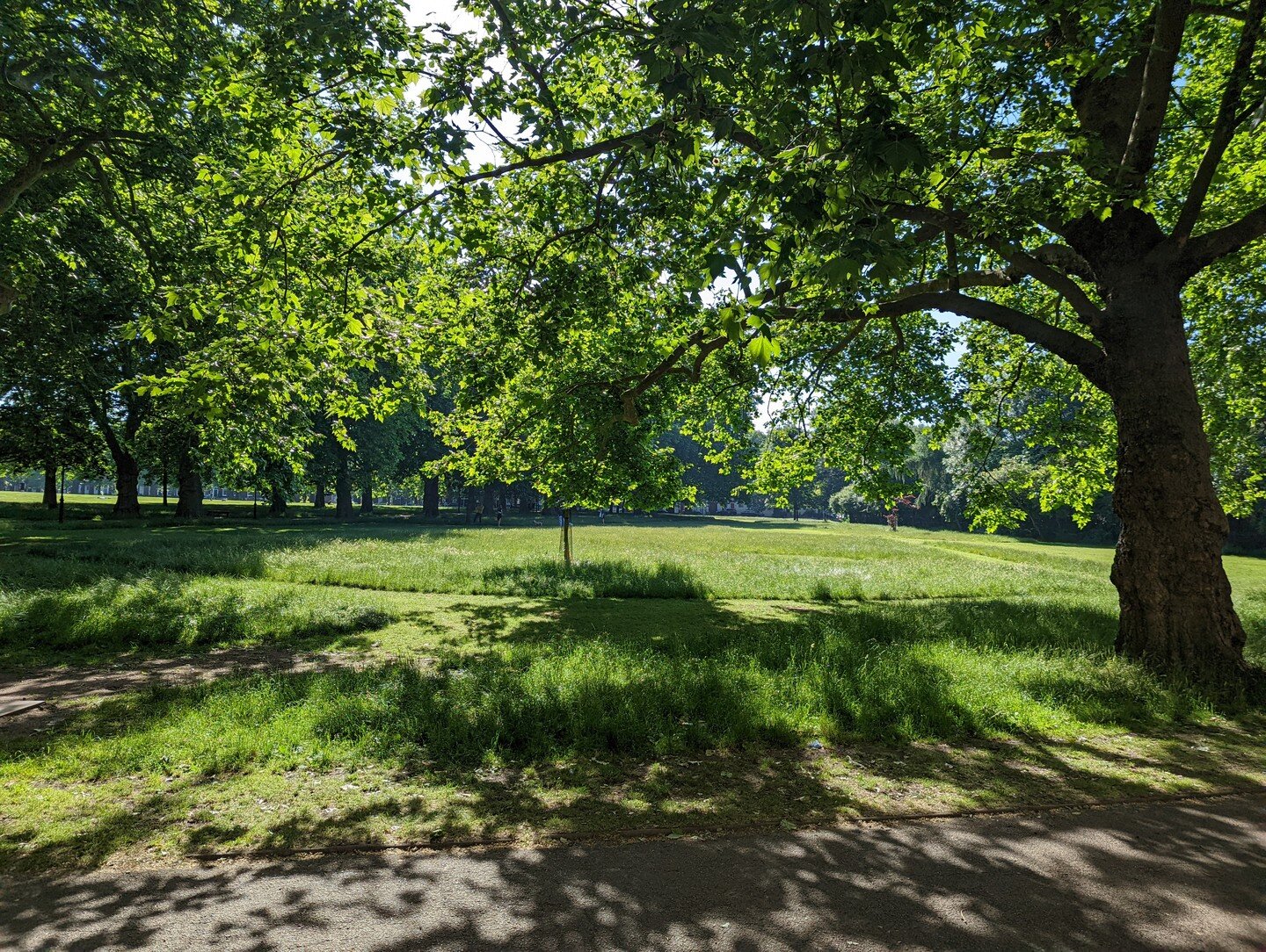 Green spaces in London, as in all cities, play a very important role in improving air quality and biodiversity, cooling the city and reducing the urban heat island (UHI) effect which causes global warming. 🔥

London has 3000 parks of varying sizes t