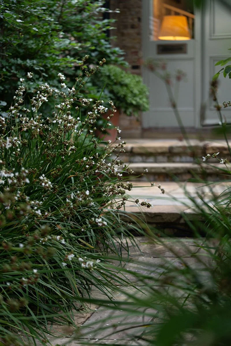3.Naturalistic_Planting_Landscape_Design_London_Nilufer_Danis.jpg