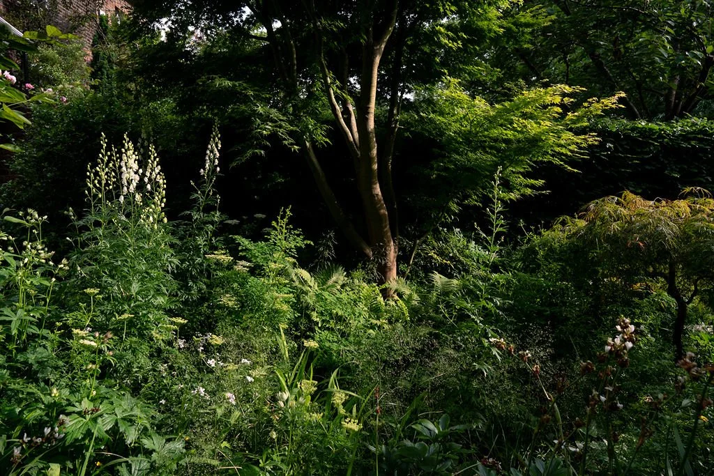 9.Naturalistic_Planting_London_Garden_Designer_Nilufer_Danis.jpg