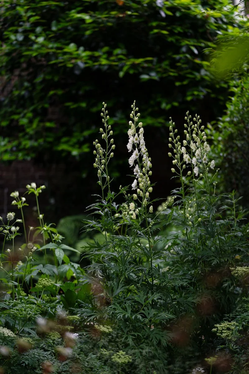 12.Landscape_Design_London_Nilufer_Danis.jpg