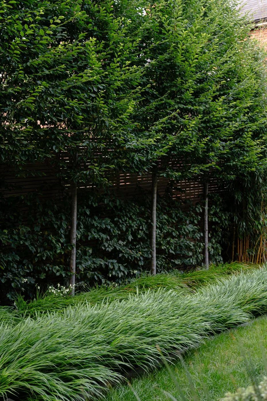 7_Border_Trees_Planting_Nilufer_Danis.jpg