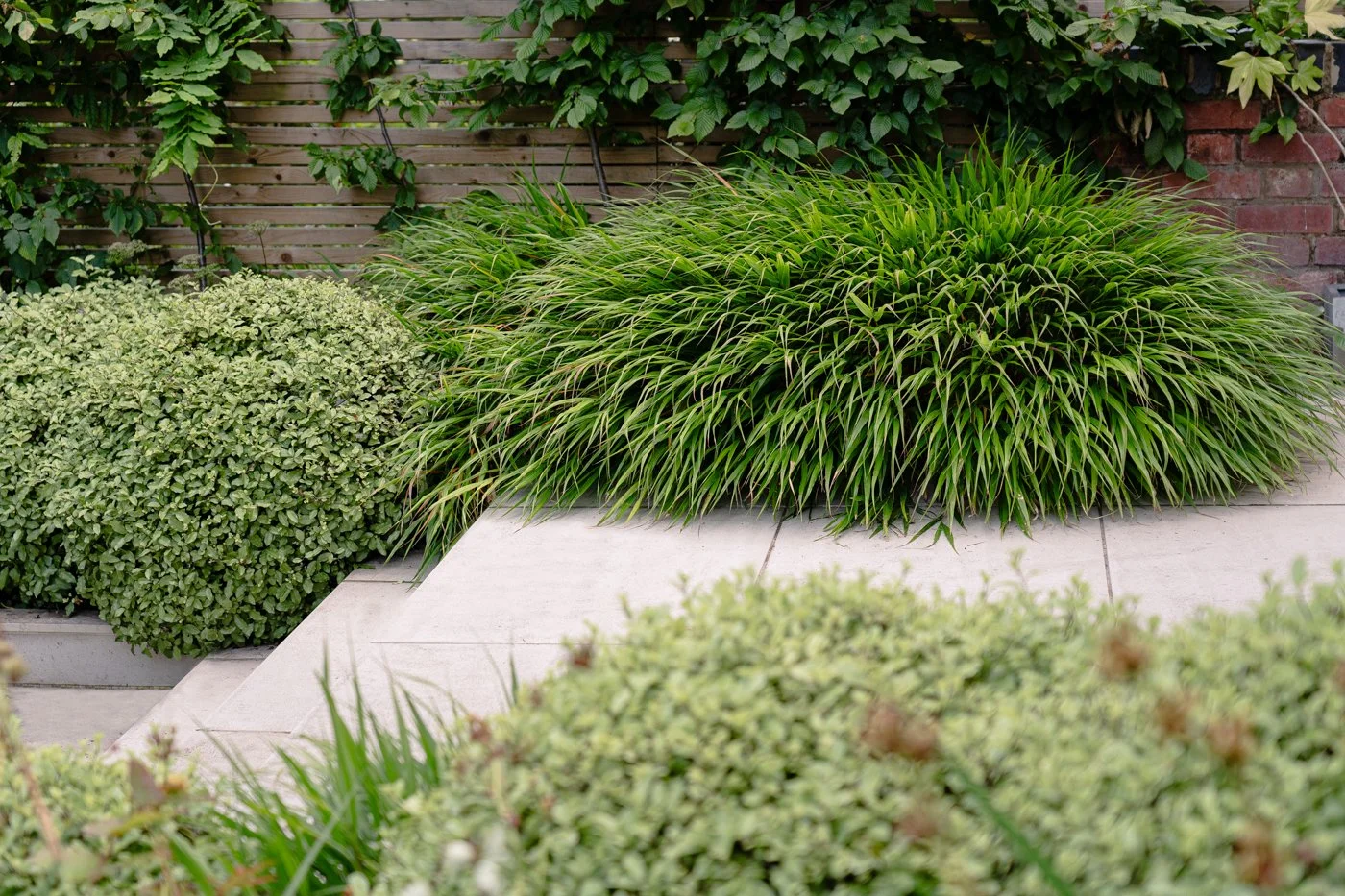 12_Contemporary_Garden_Design_Ideas_Nilufer_Danis.jpg