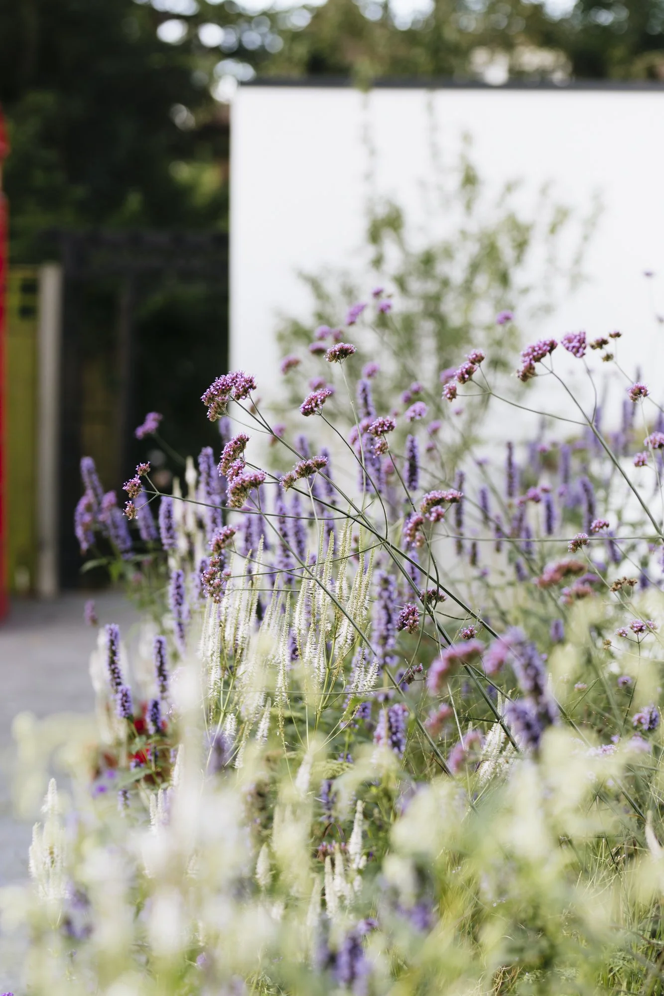 “Wild but Designed” Why Naturalistic Planting Is Defining 2026
