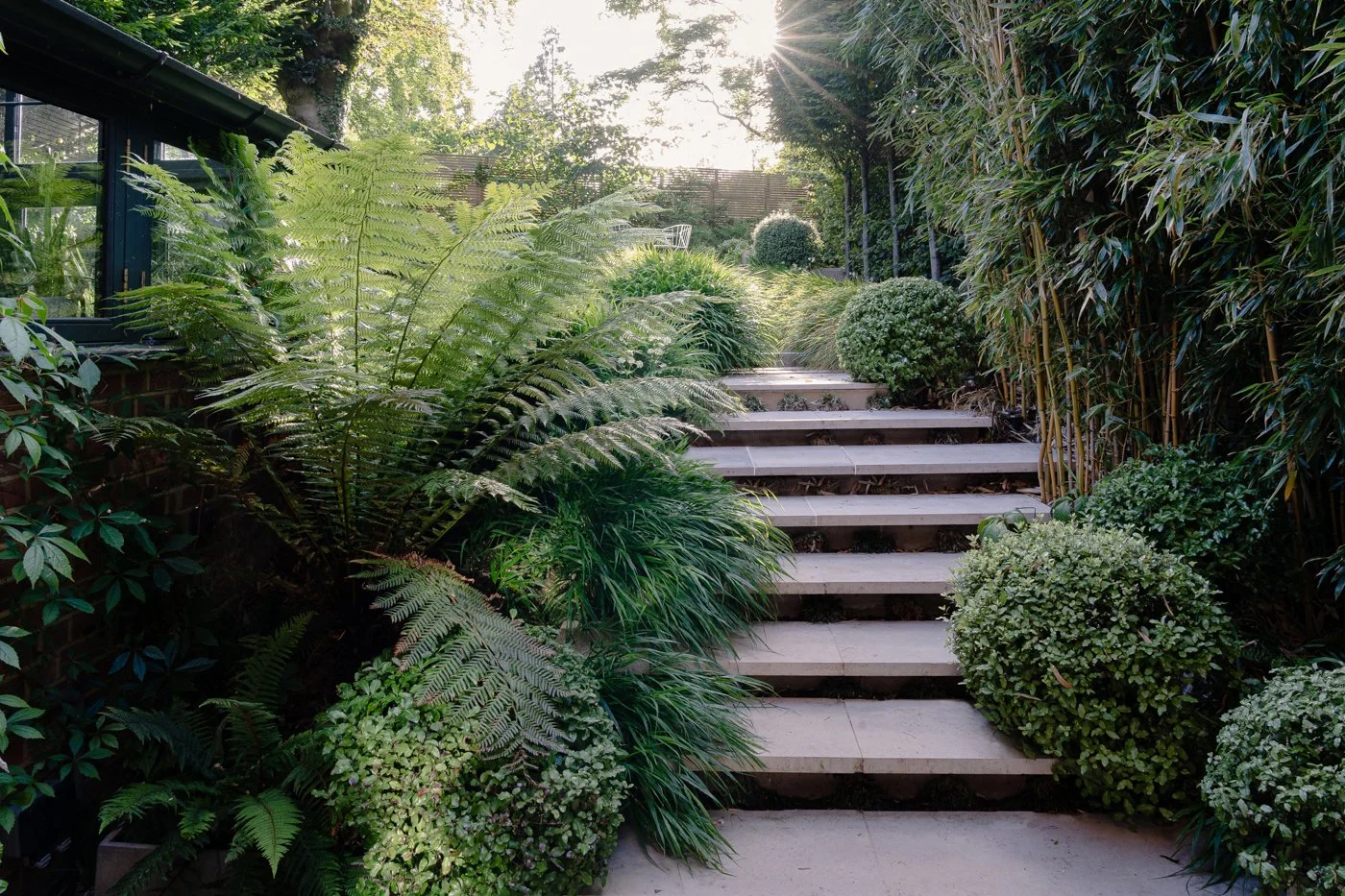 Nilufer Danis, garden design south west london, garden design london, small garden designers london, contemporart gardens, contemporary garden design, woodland type planting, luxury gardens, beautiful gardens, best garden designers
