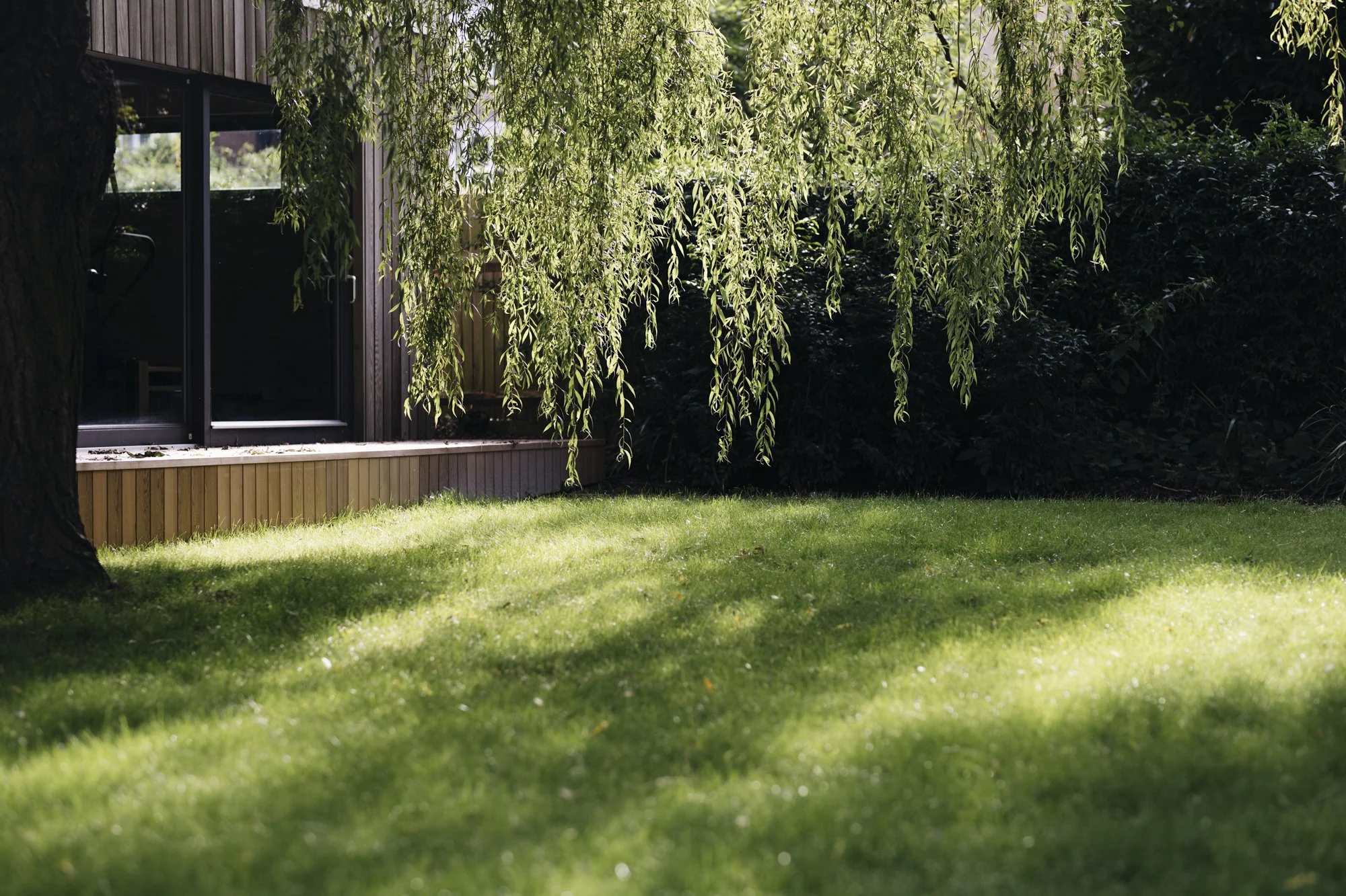 sa_tree_large_trees_london_gardens_niluferdanis_best_garden_designers,award_wining_garden_designer
