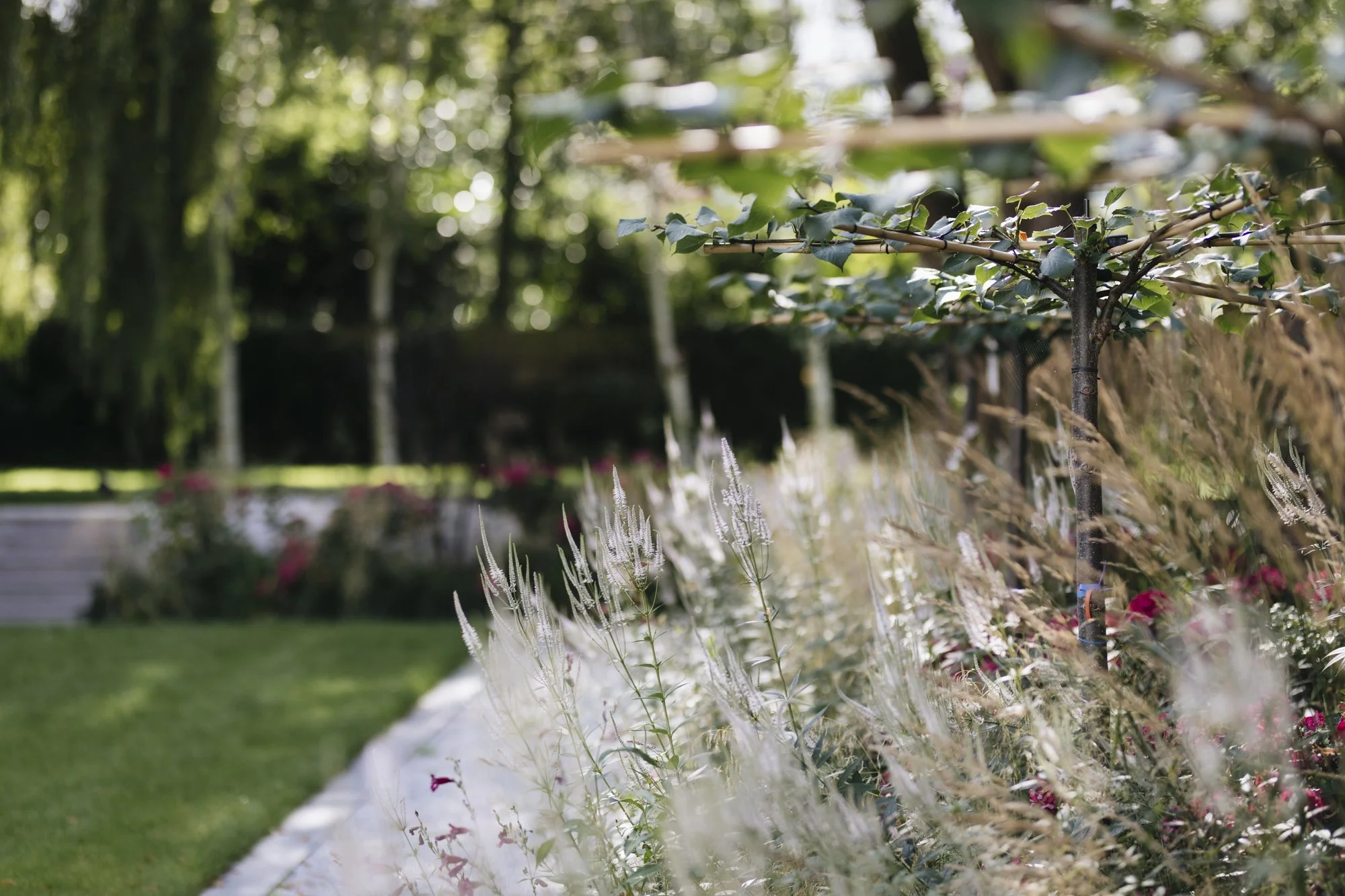 Garden design studio, london gardens, landscape designer, landscape architecture