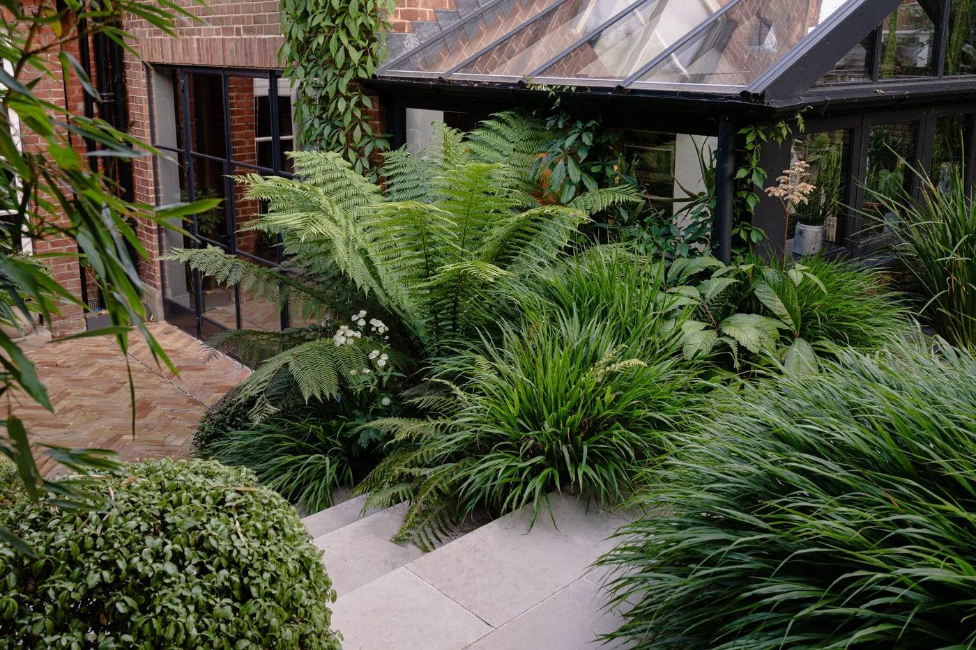 Nilufer Danis,garden design south west london, garden design london, small garden designers london, contemporart gardens, contemporary garden design, woodland type planting, luxury gardens, beautiful gardens, best garden designers