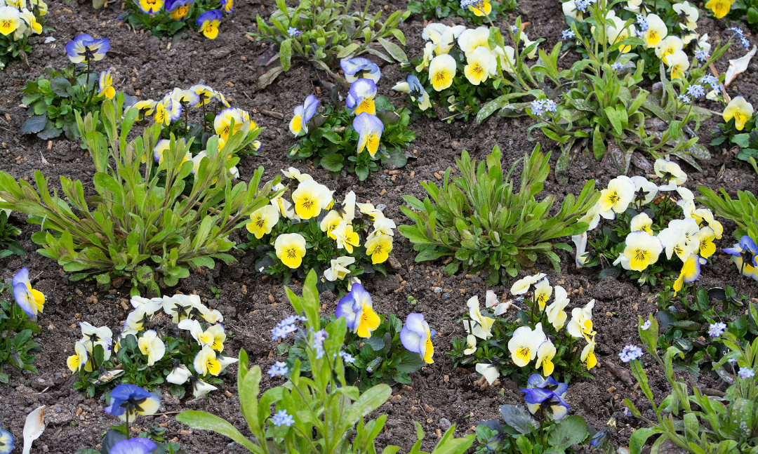 Outdoor Rehab You Can Do This Spring