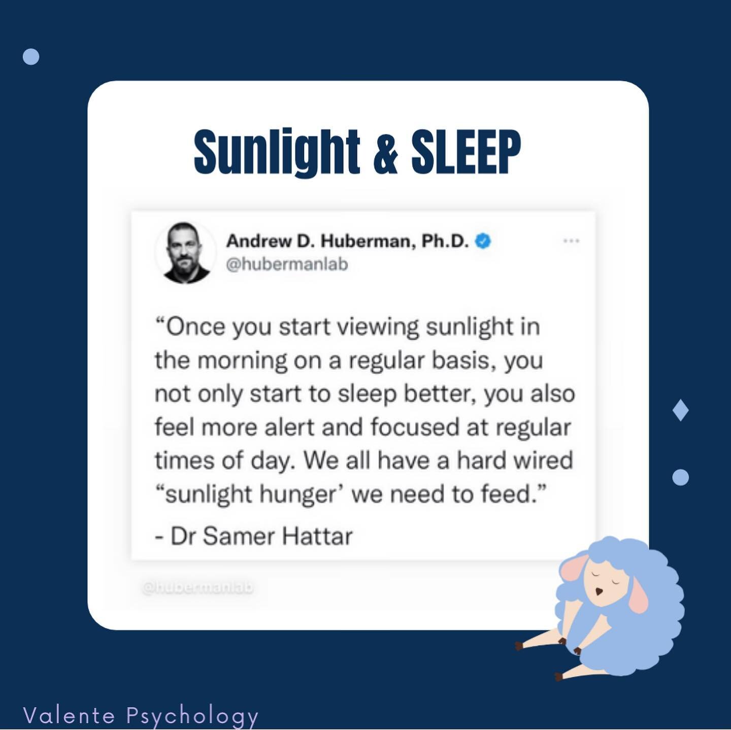 Viewing light at particular times adjusts our mood, ability to learn, stress and hormone levels, appetite, and mental health.

In this episode of The Huberman Lab, Andrew Huberman and Dr. Samer Hattar, Chief of the Section on Light and Circadian Rhyt