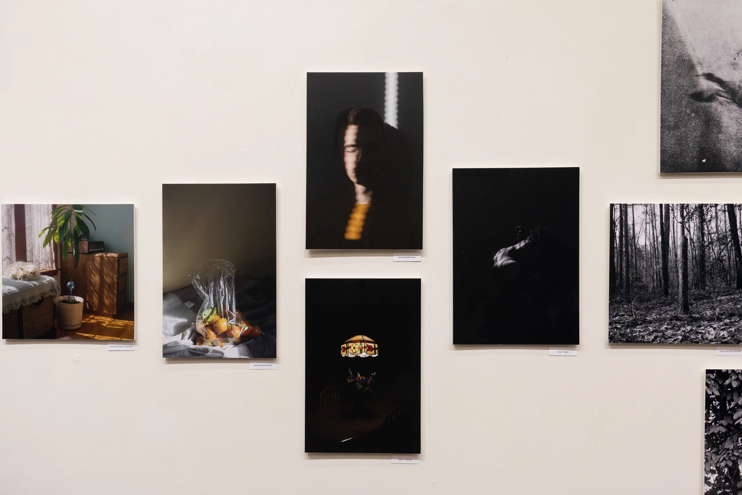 Homecoming 2020-2021 - MFA Photography Reviews