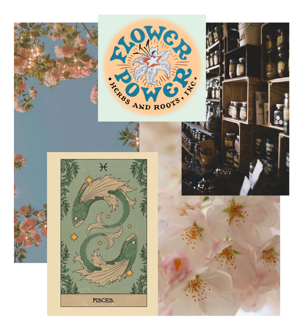 How to Create an Effective Mood Board A 3Step Guide — One27 Media