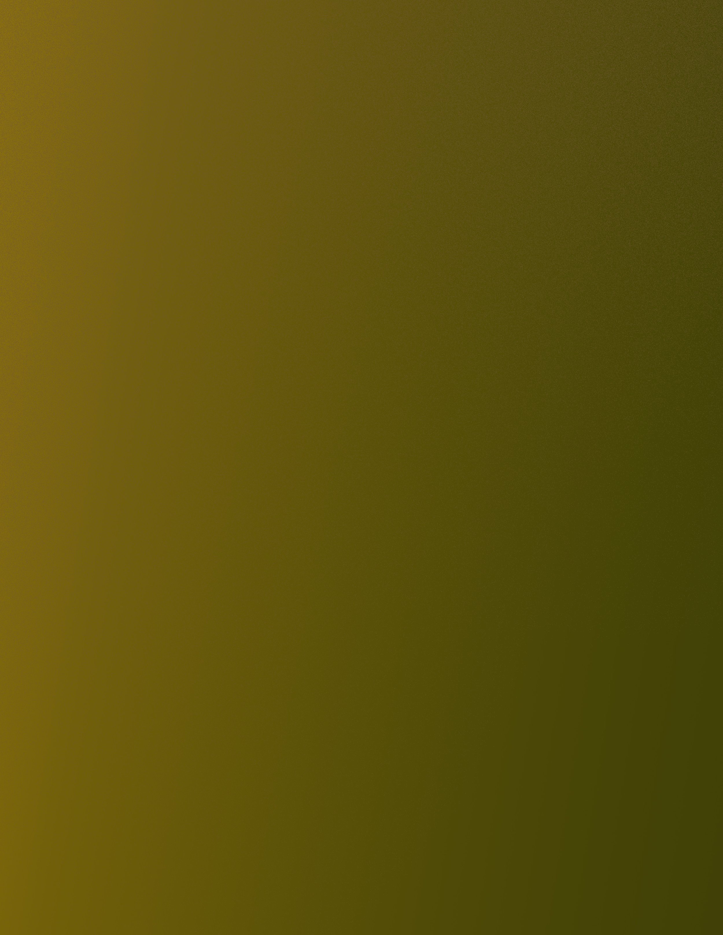 web design in portland oregon.jpg