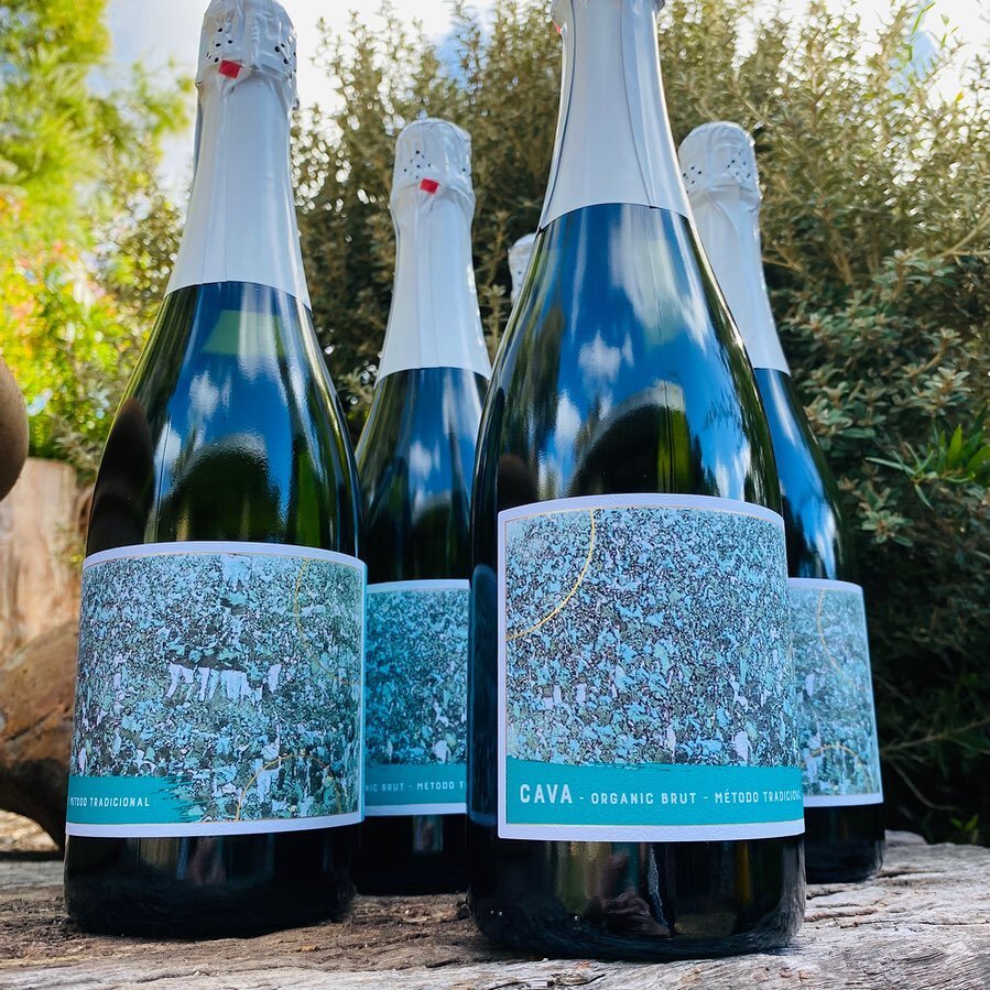 'Castells' Organic Cava is back in stock! 🙌

The quality of this fizz is simply outstanding. This traditional method made sparkler is from&nbsp;Pened&egrave;s,&nbsp;the home of Cava! It has a lovely 'fluffy' bead and the organically farmed fruit shi