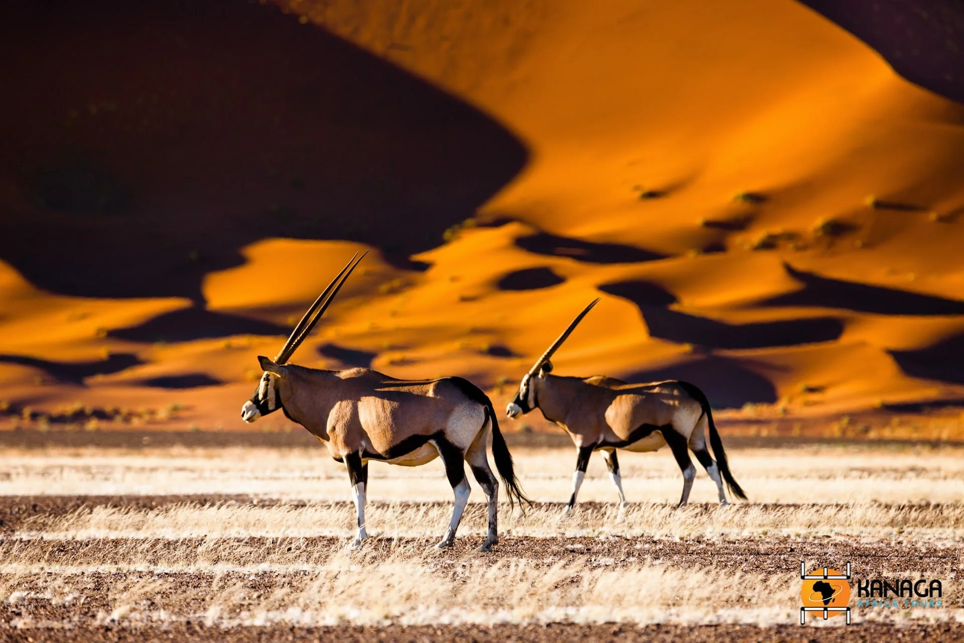 namibia_deserto-namib.jpg