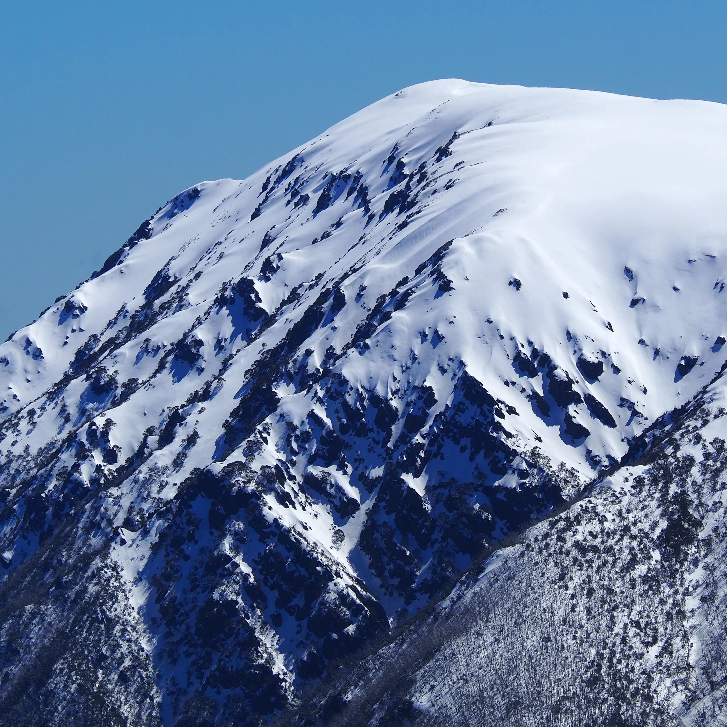 BogongWestpeak.jpg