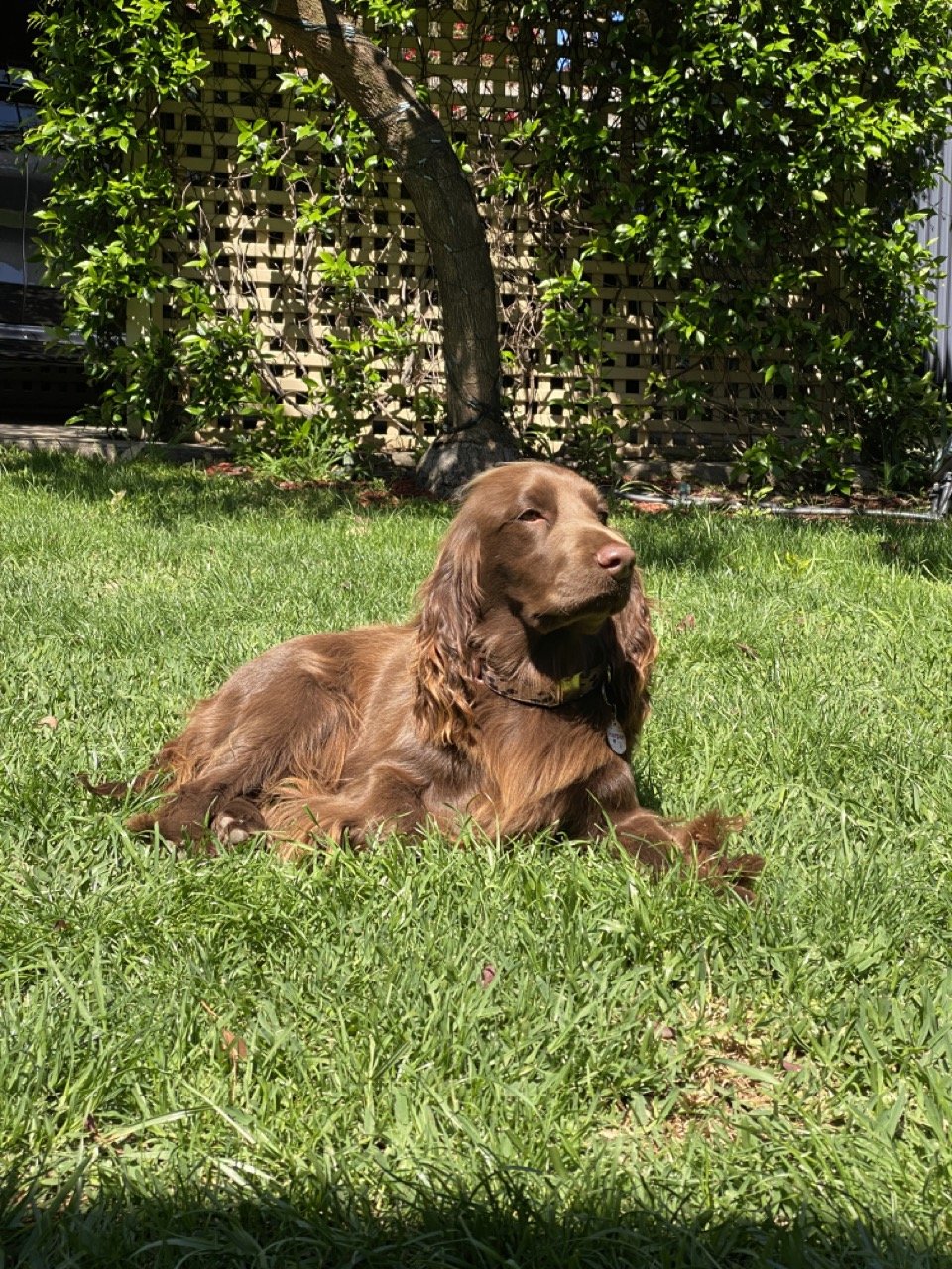 IMG_1474 Large.jpeg
