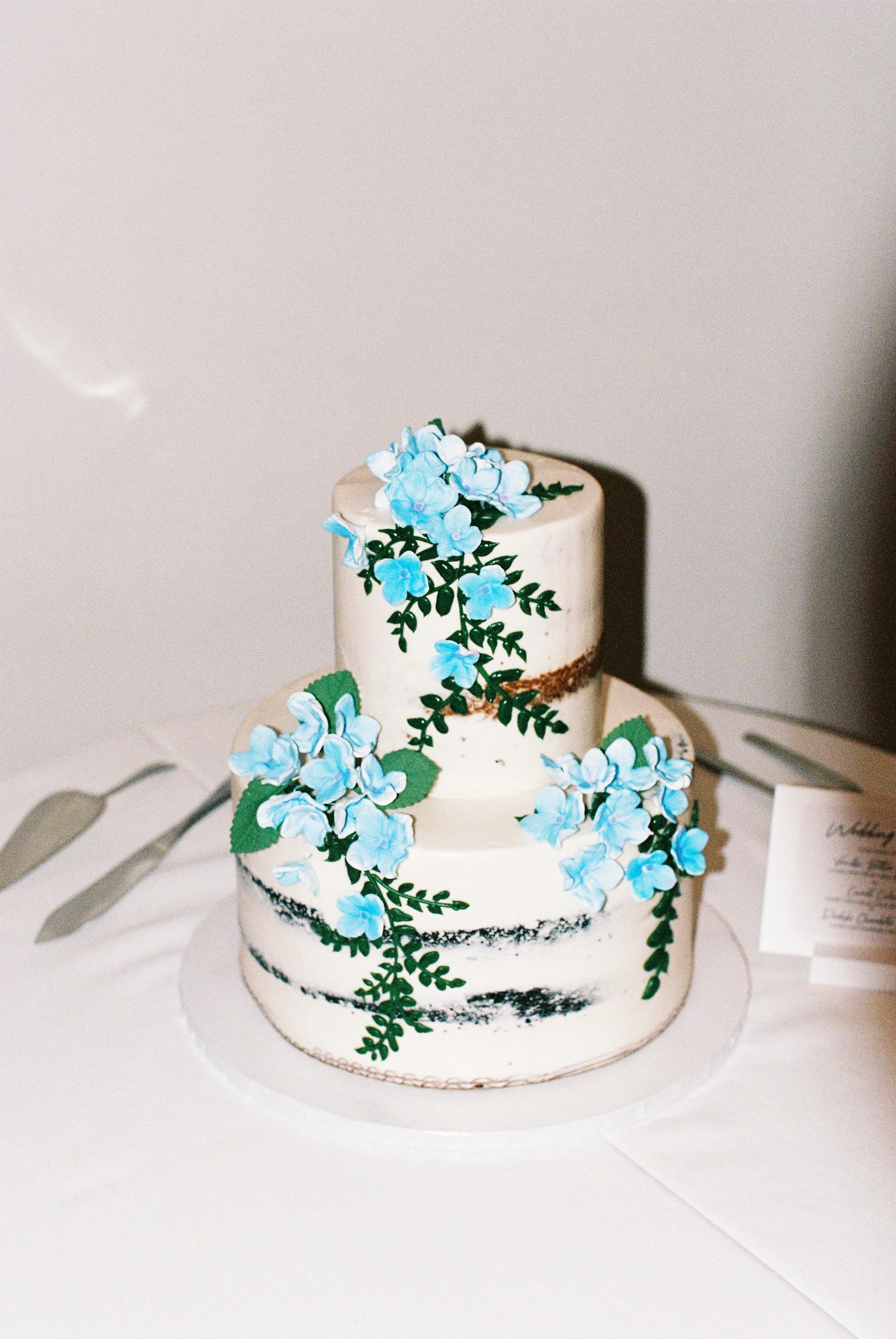 brianna and sean the lakehouse halifax blue and yellow summer wedding modern lake hydrangeas (4).jpg