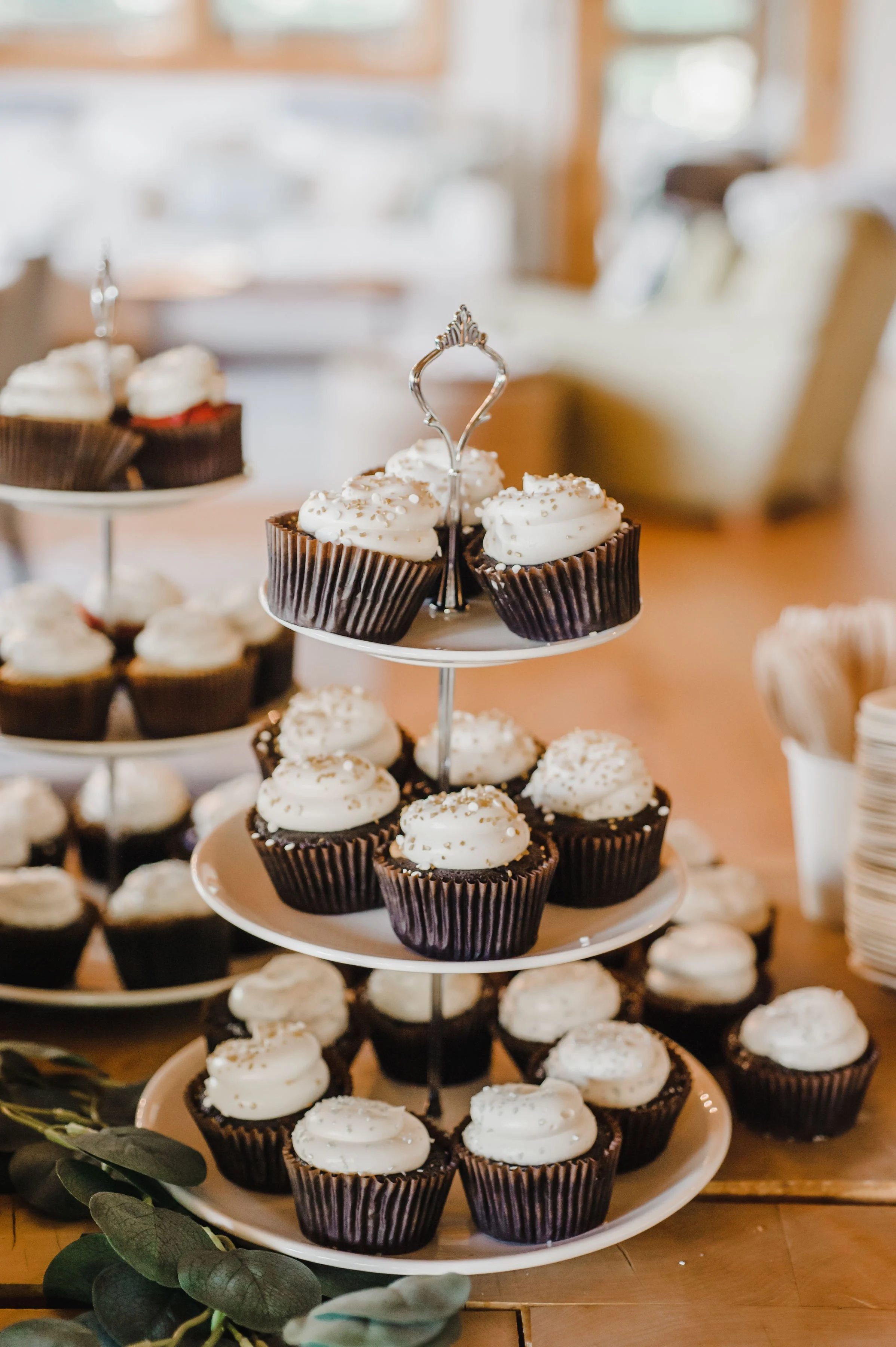 MINI CUPCAKES PRICE BURR PHOTOGRAPHY  (2) BRENNA AND RYAN .JPG