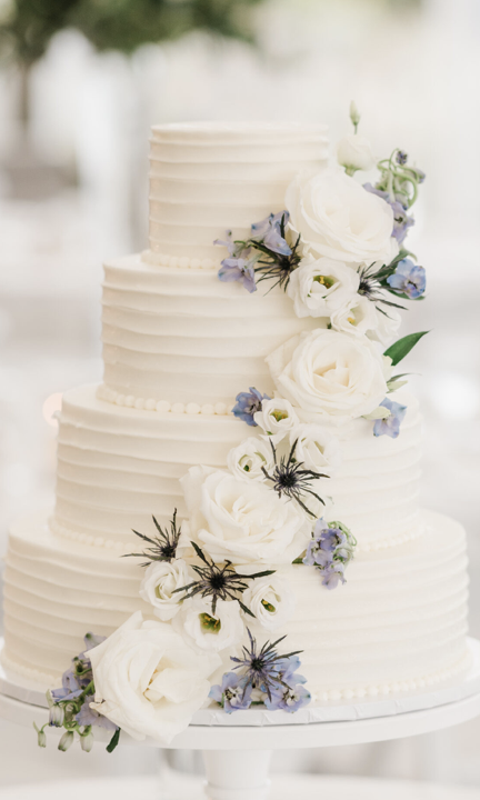 Screen Shot 2024-01-03 at 11.49.04 AM.png