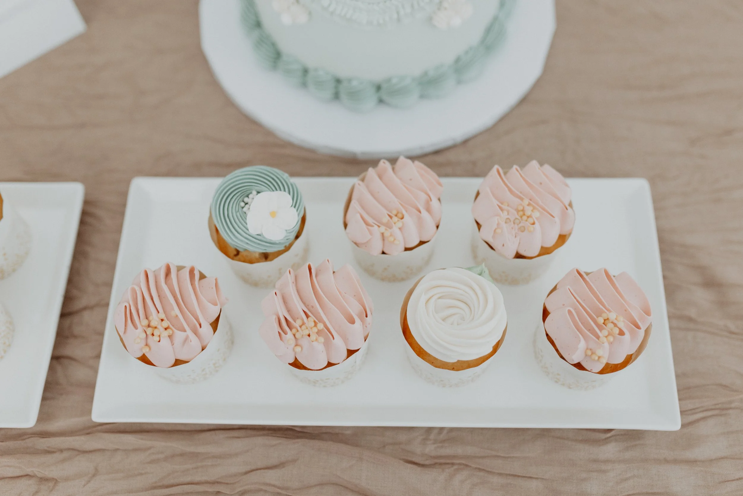 SMPhoto-240.jpg